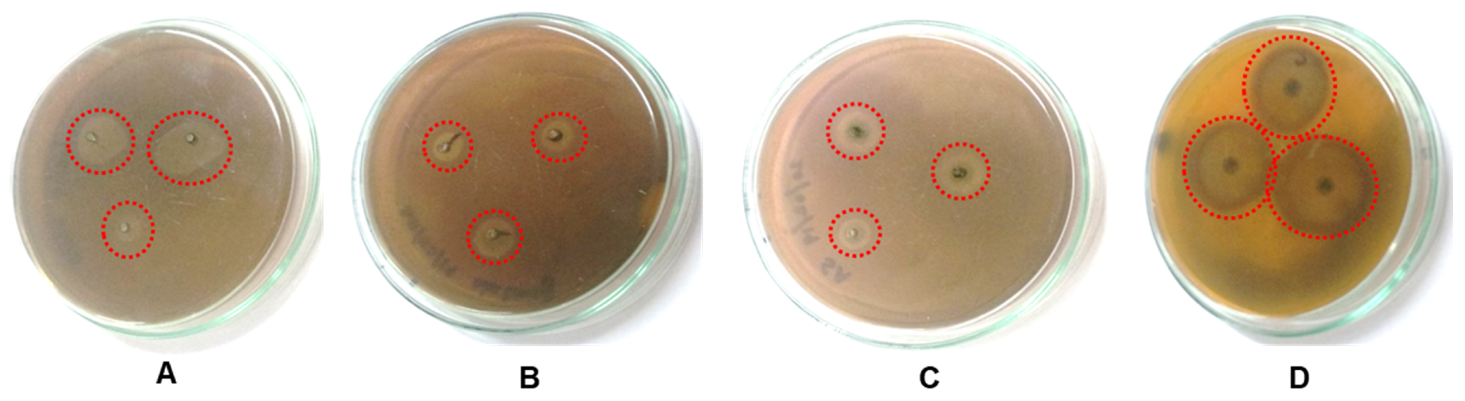 Processes 09 01341 g009