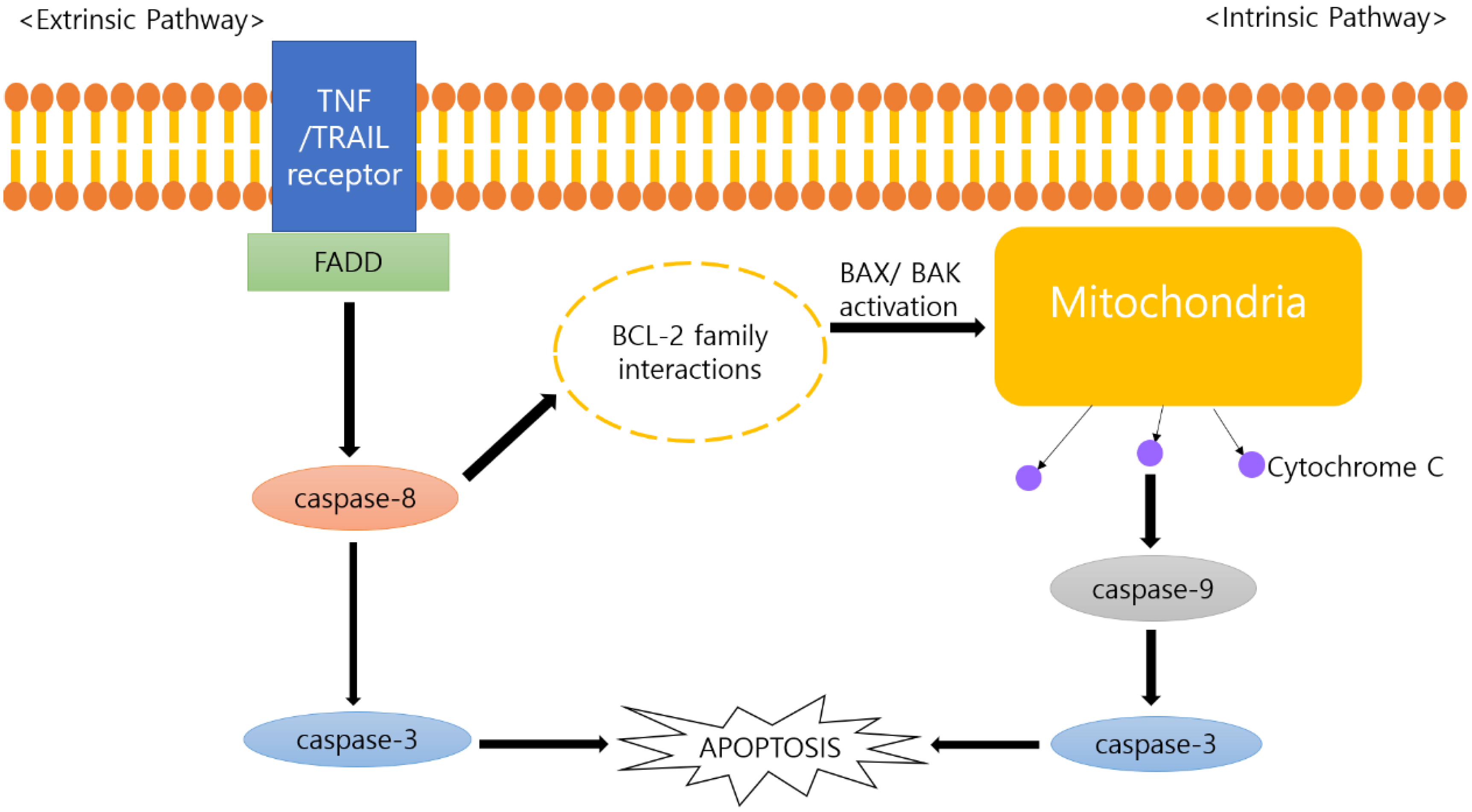 Processes 09 01344 g001