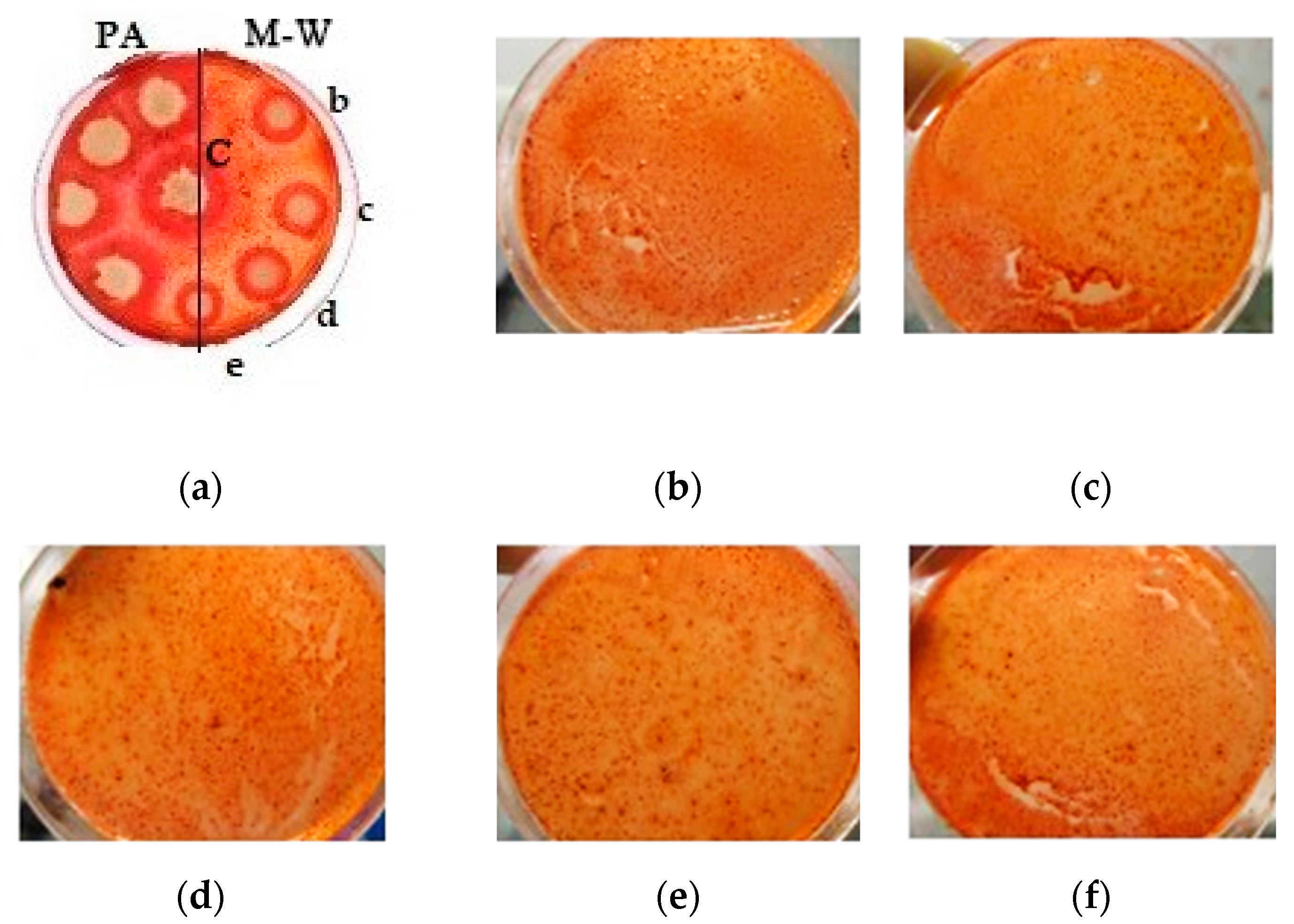 Processes 09 01360 g005