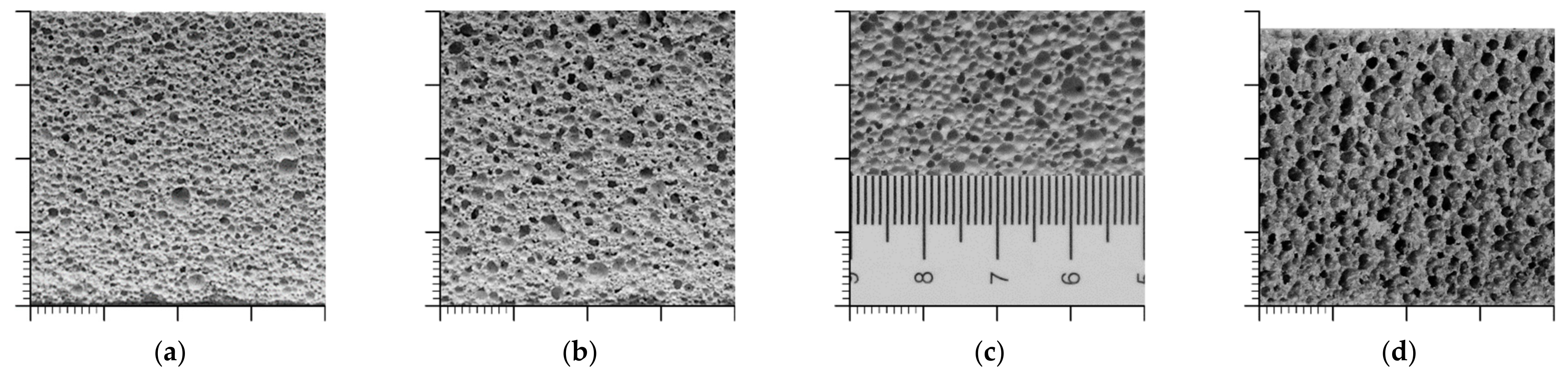 Processes 09 01373 g004 550