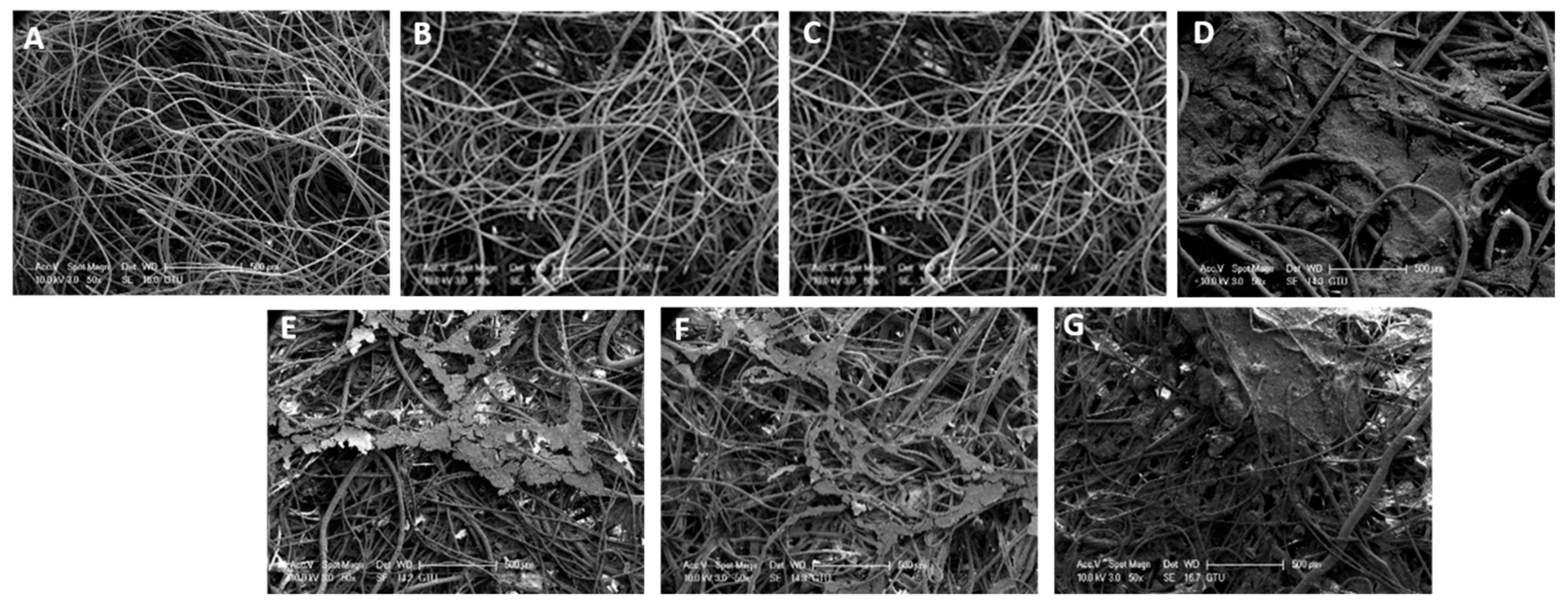 Processes 09 01377 g002