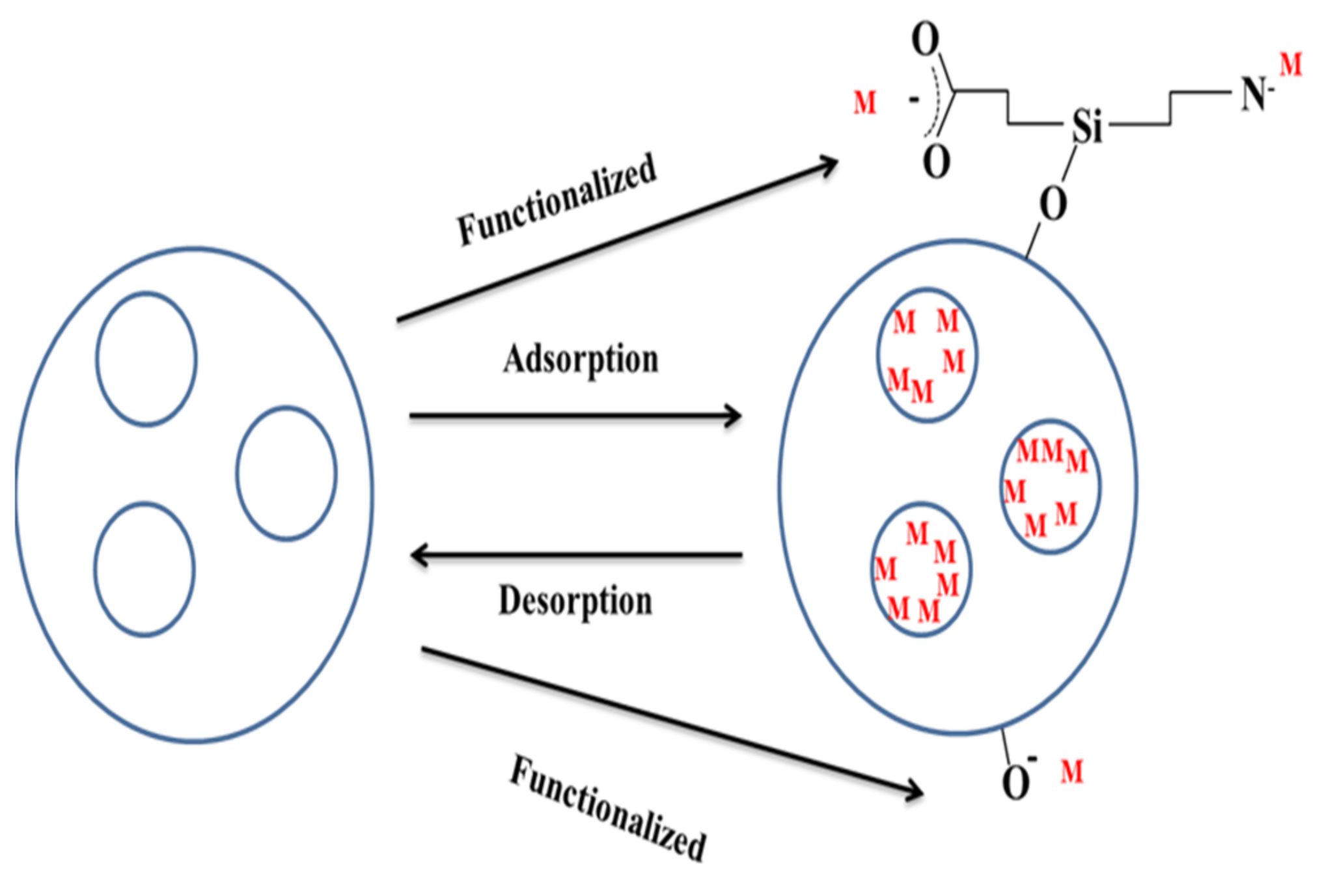 Processes 09 01379 g004