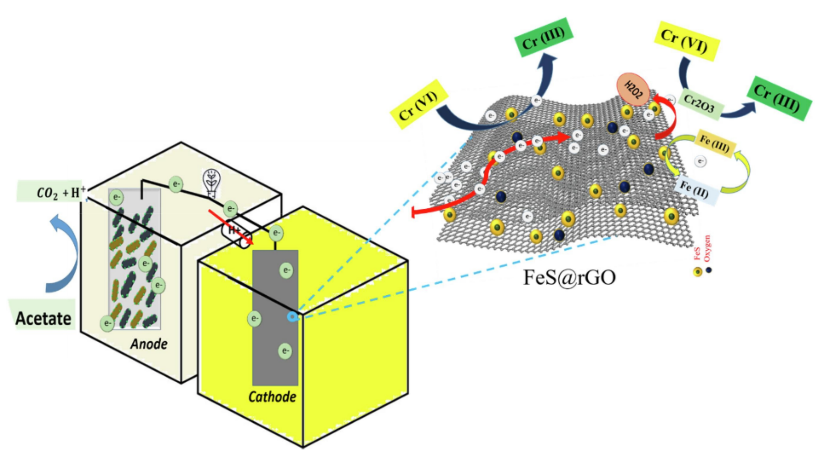 Processes 09 01379 g012
