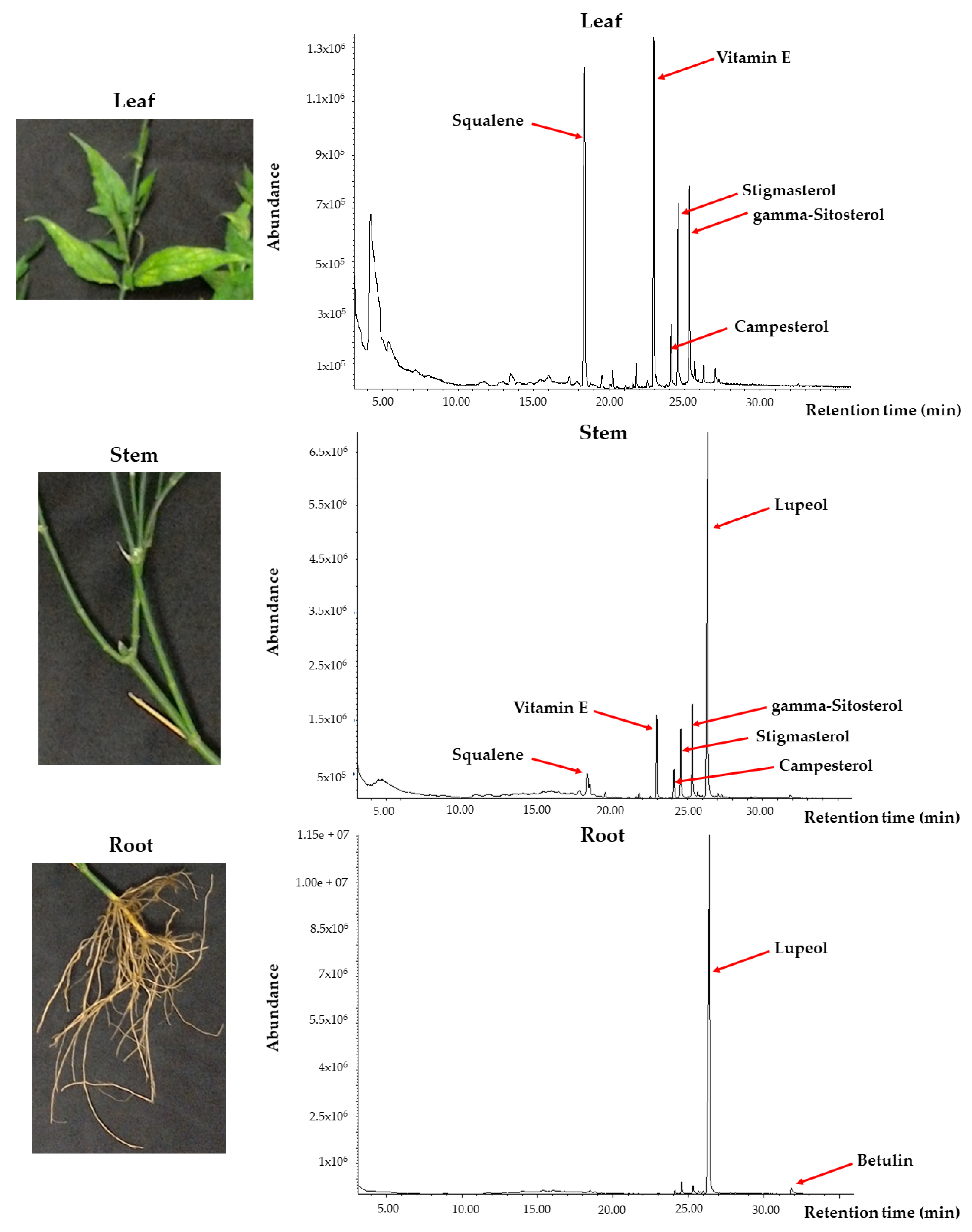 Processes 09 01383 g002