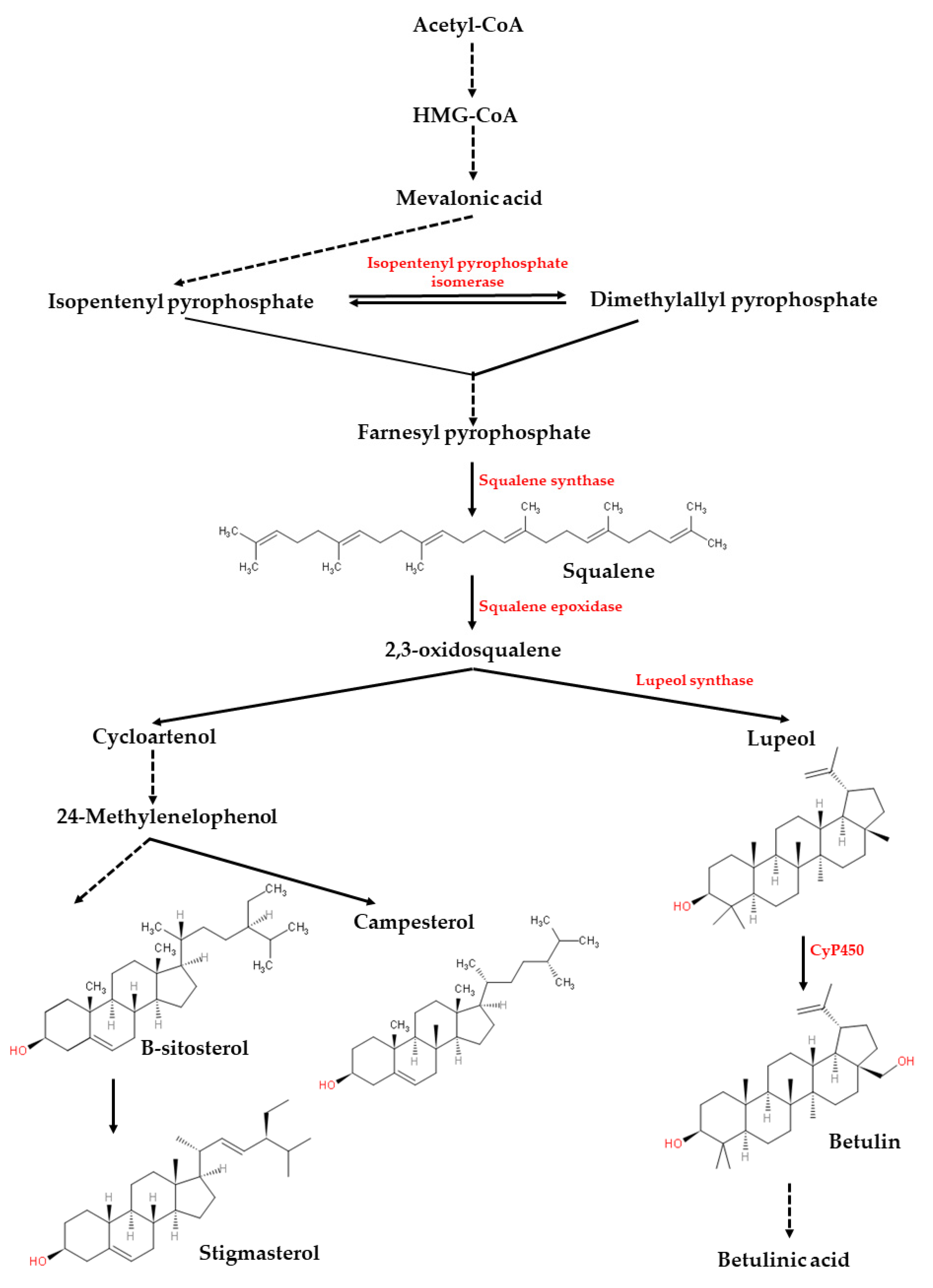 Processes 09 01383 g005