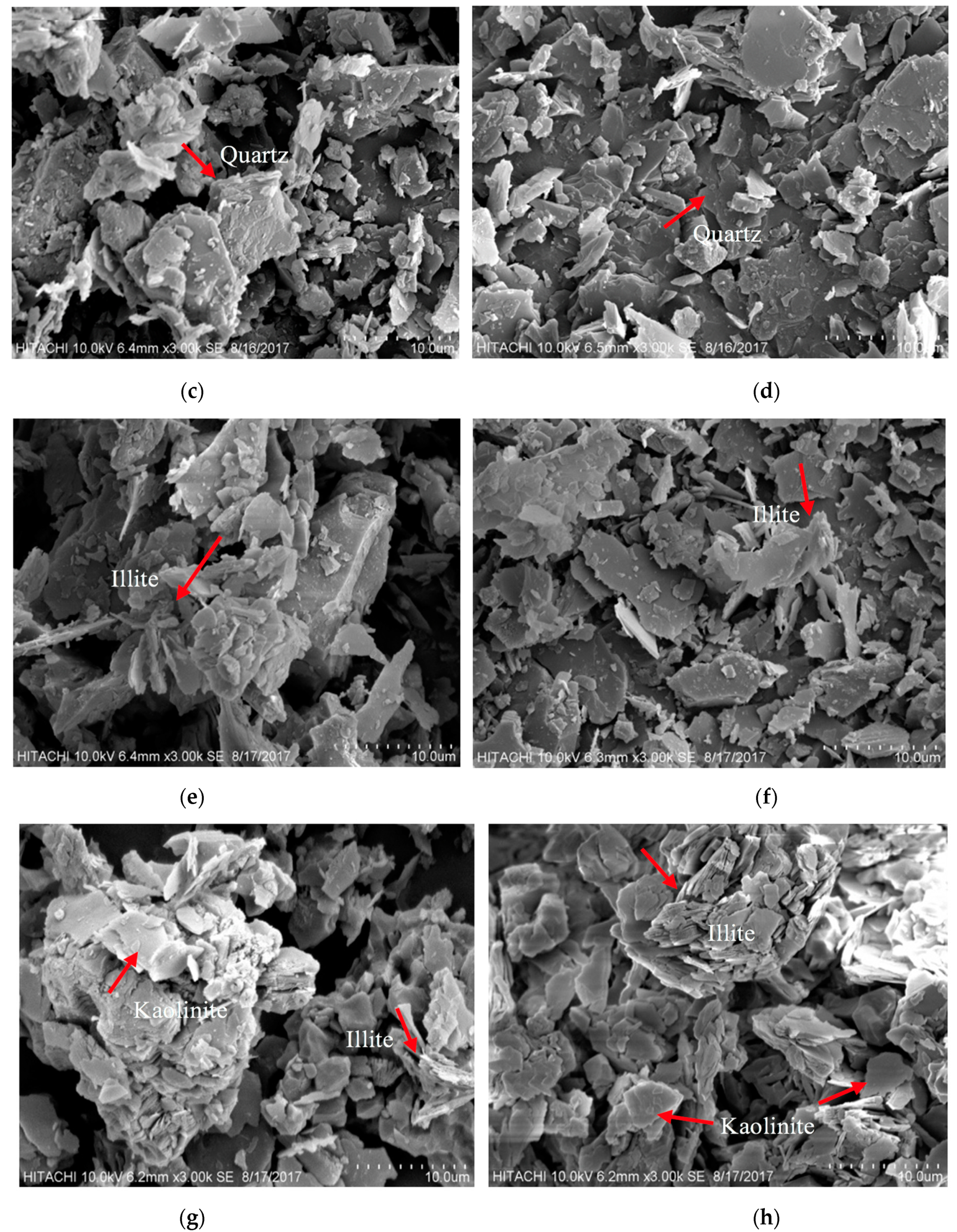 Processes 09 01384 g005b Processes 09 01384 g005b