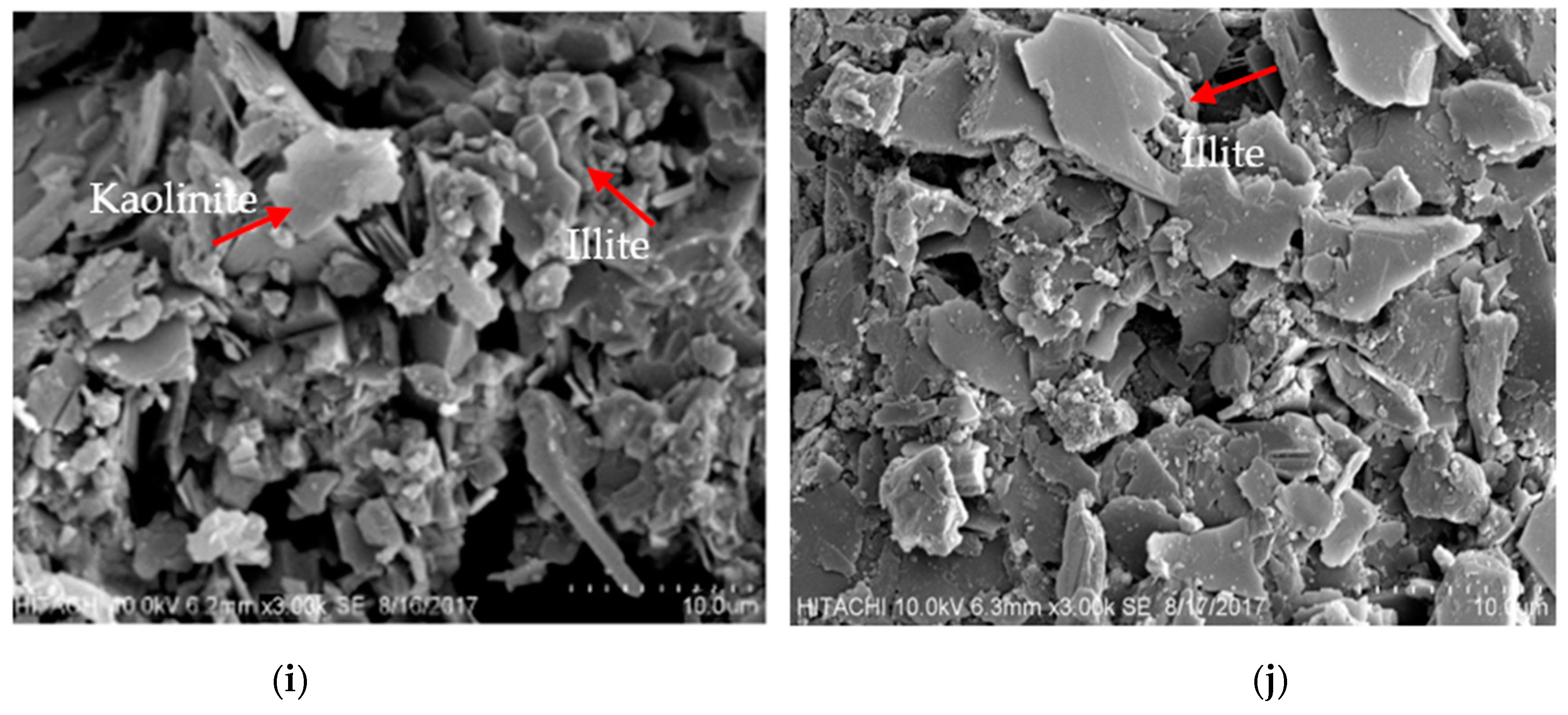Processes 09 01384 g005c Processes 09 01384 g005c