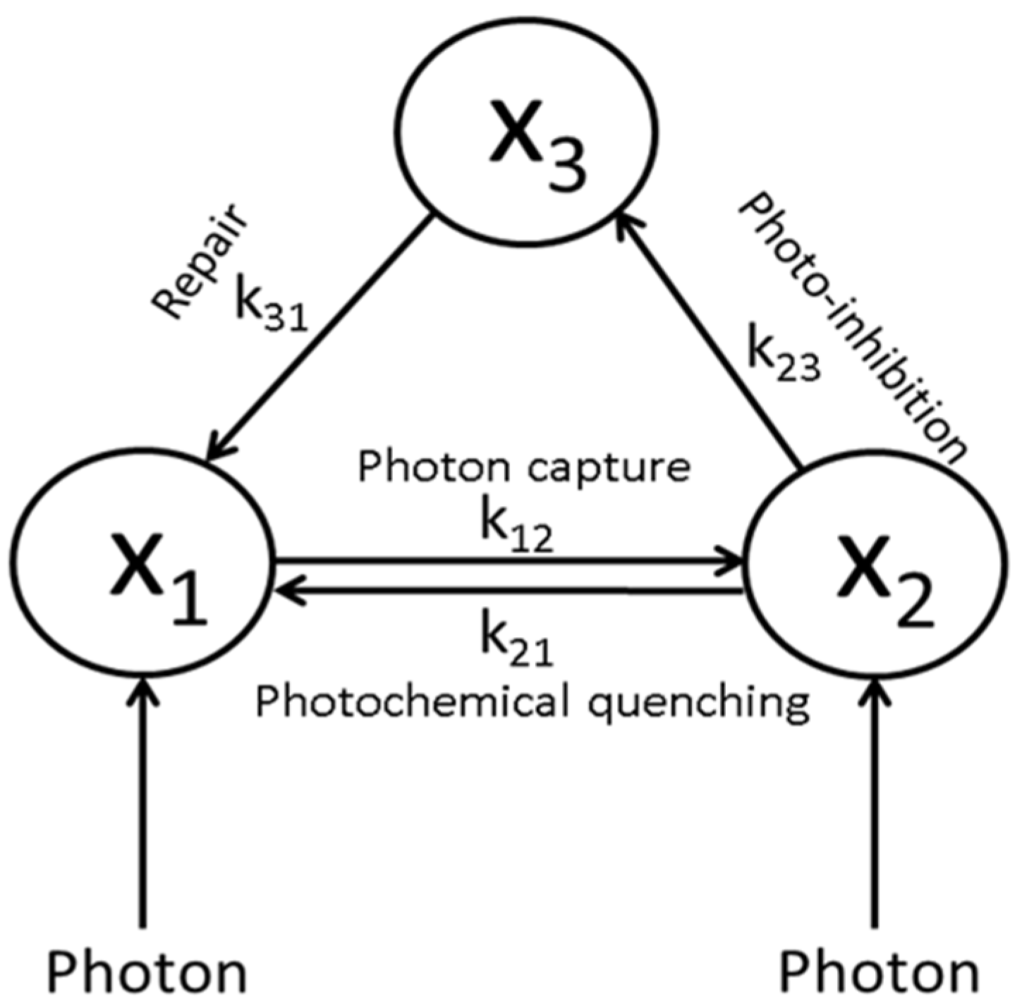 Processes 09 01387 g004