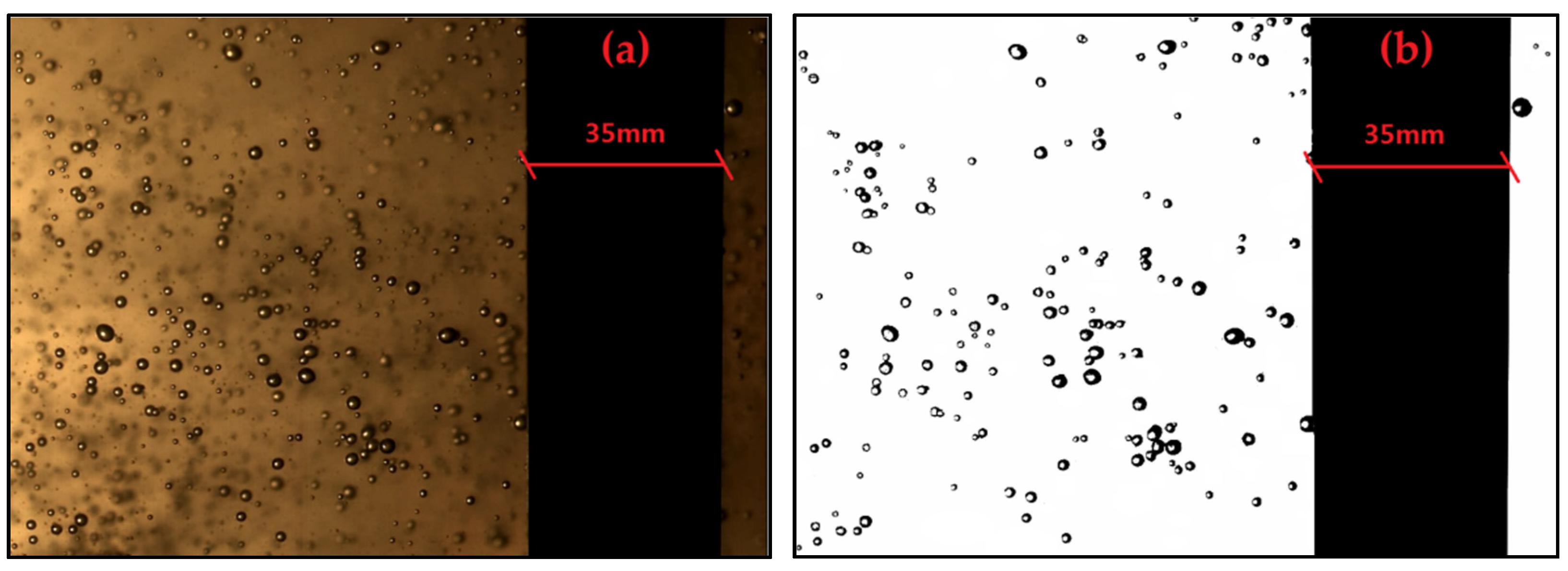 Processes 09 01392 g002