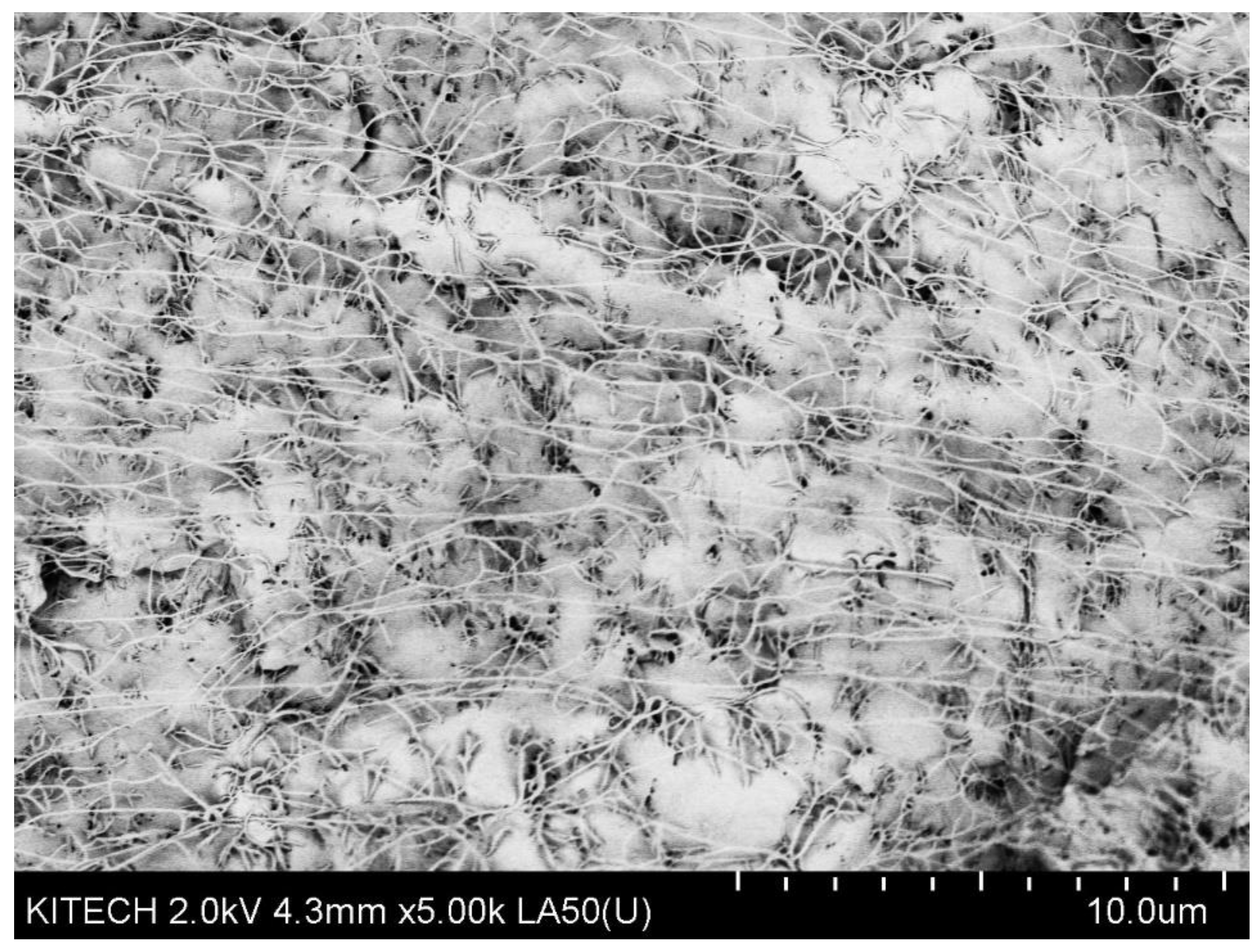 Processes 09 01395 g0a3 550