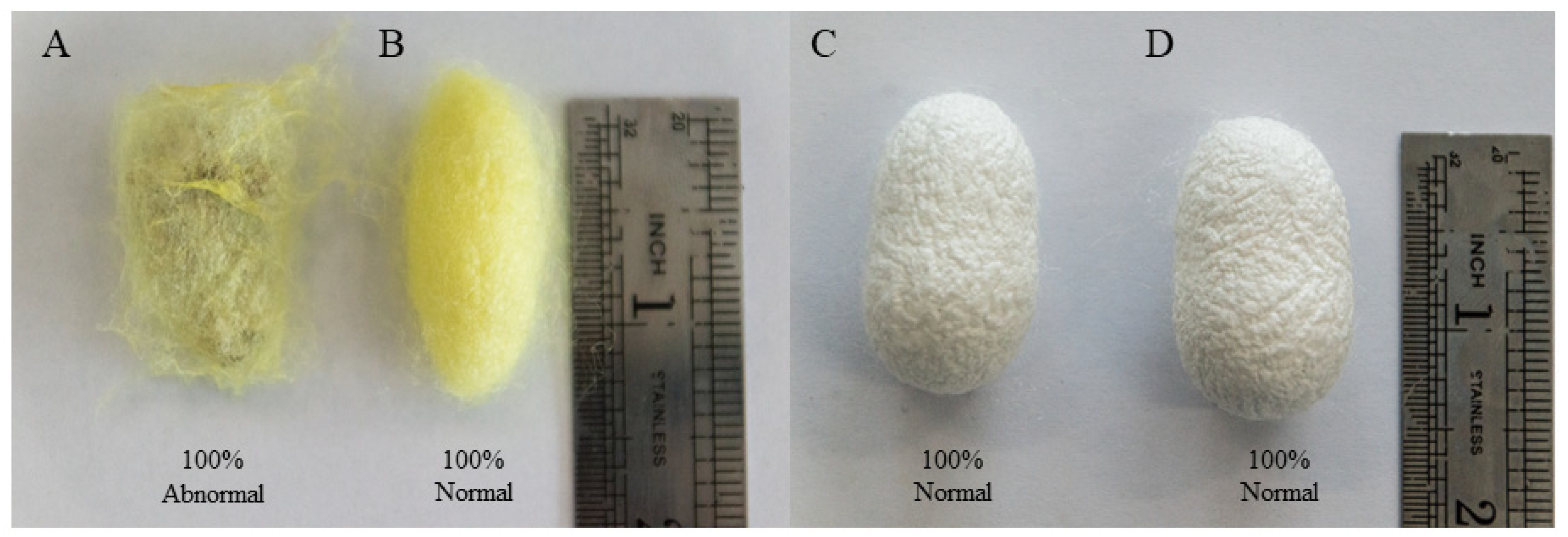 Processes 09 01401 g001