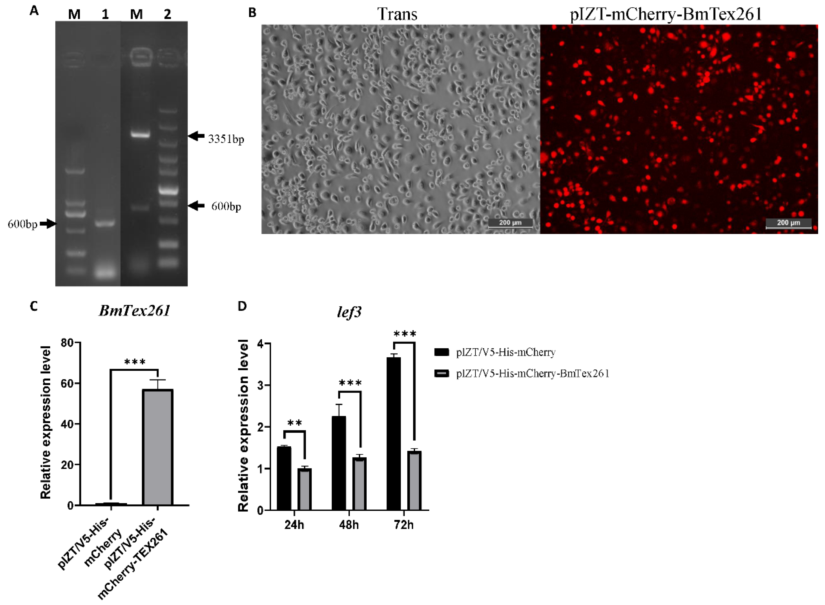 Processes 09 01401 g008