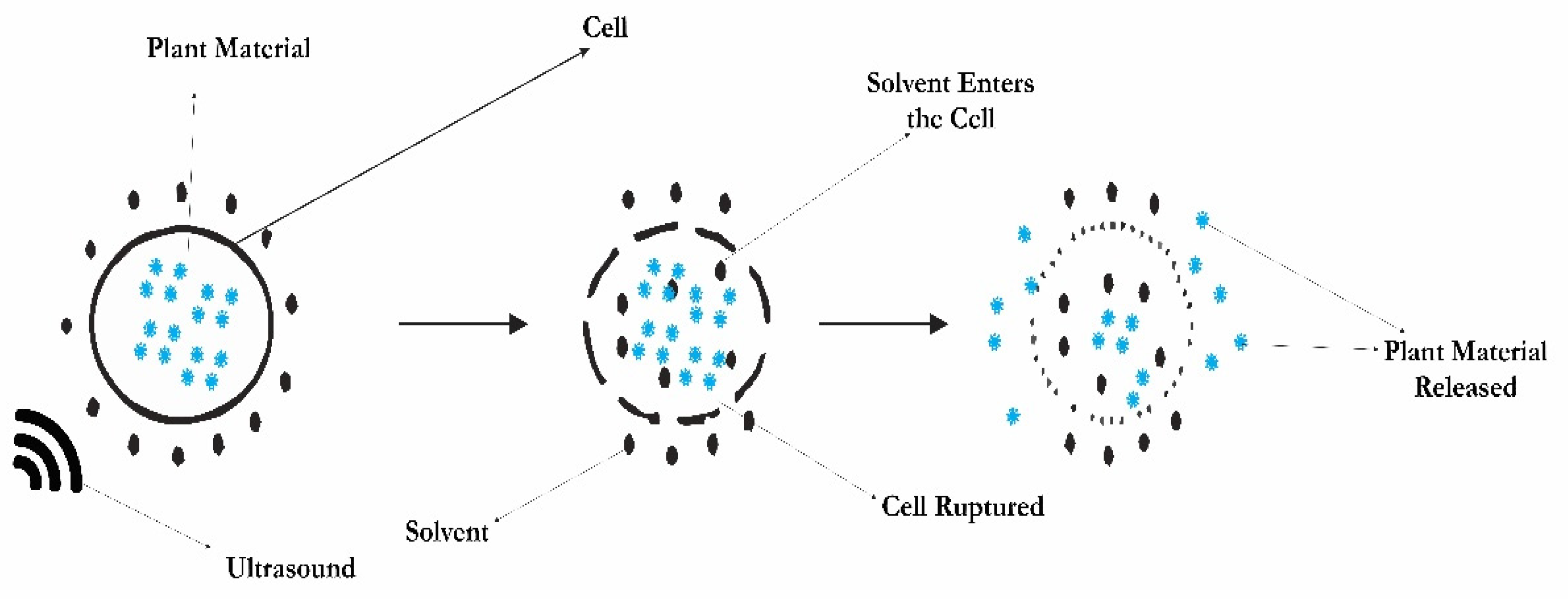 Processes 09 01406 g004 550