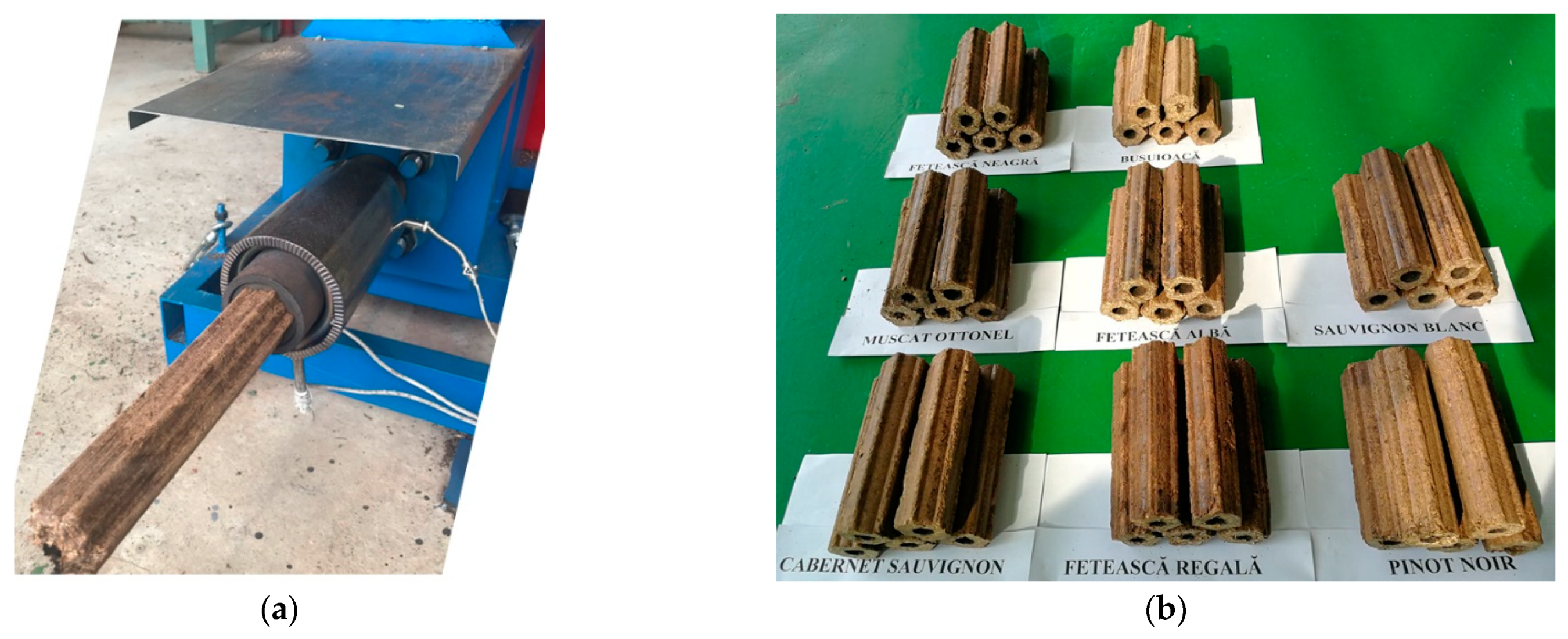 Processes 09 01409 g007