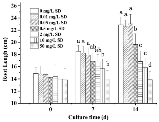 『L』 Antibiotic Resistance Gene Transformation and
