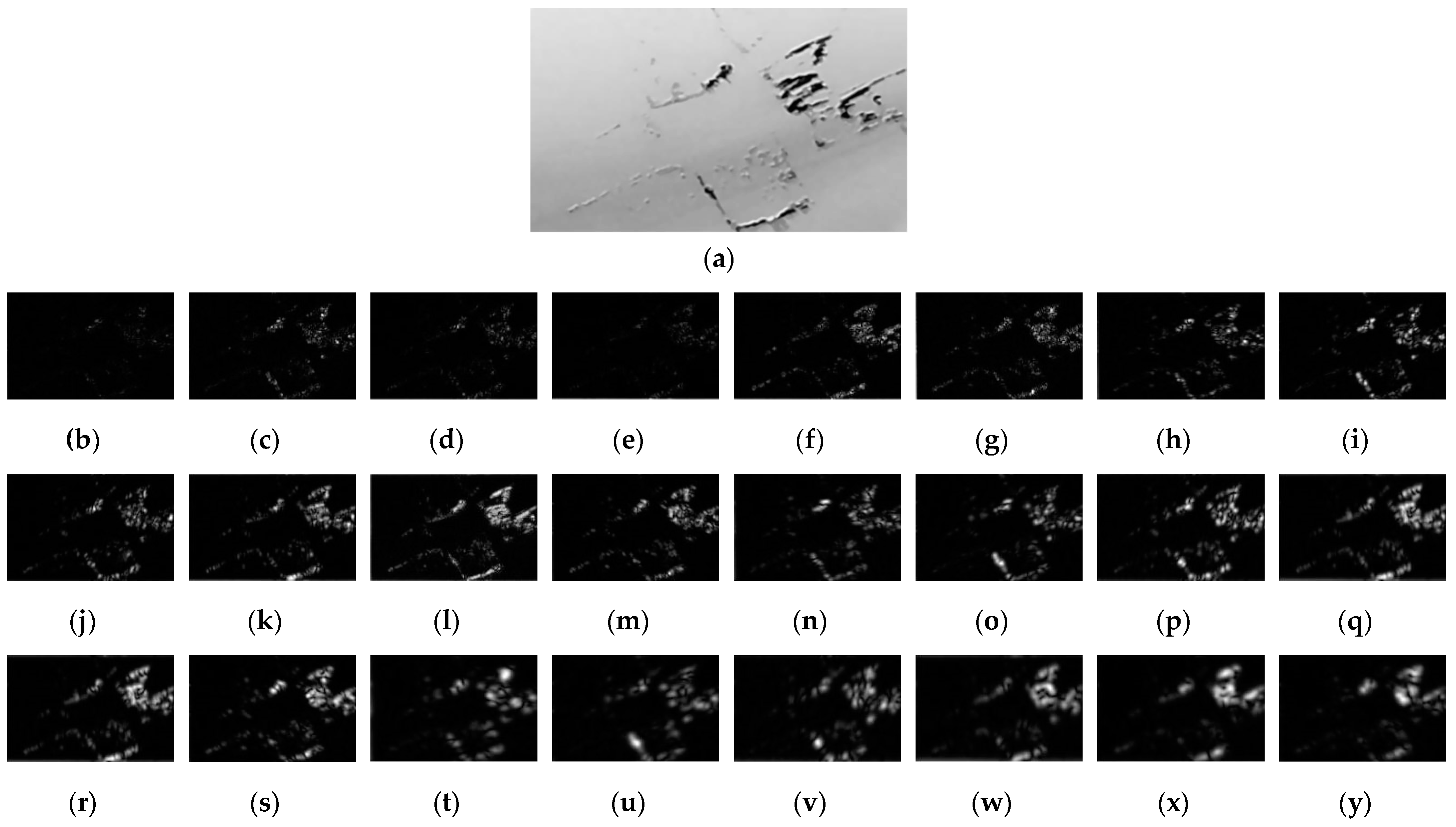 Processes 09 01452 g009 550