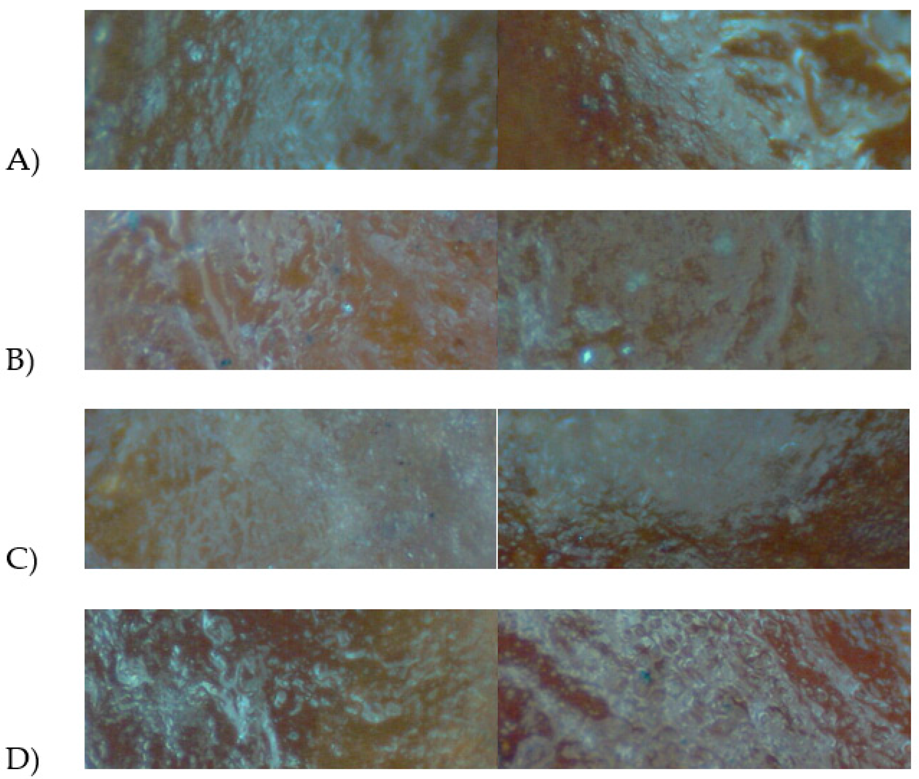 Processes 09 01457 g008