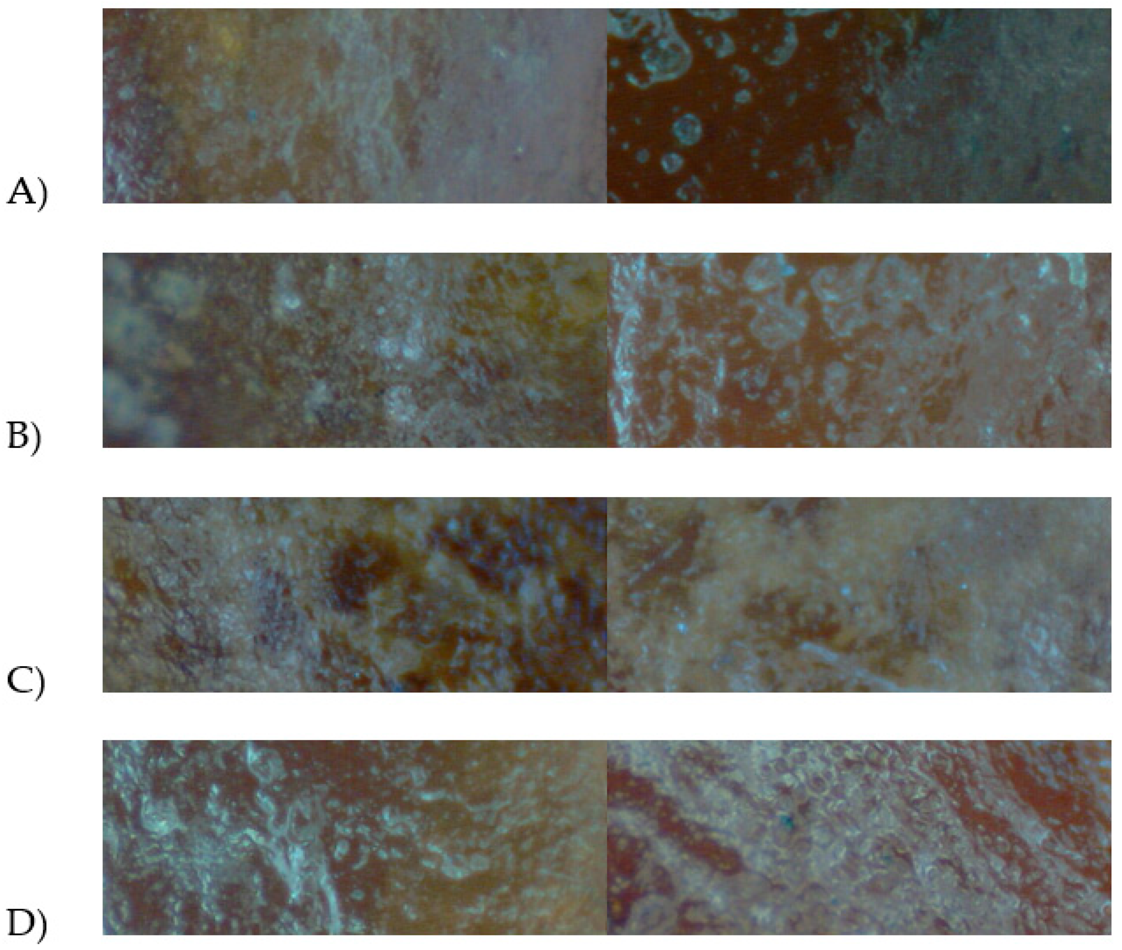 Processes 09 01457 g009