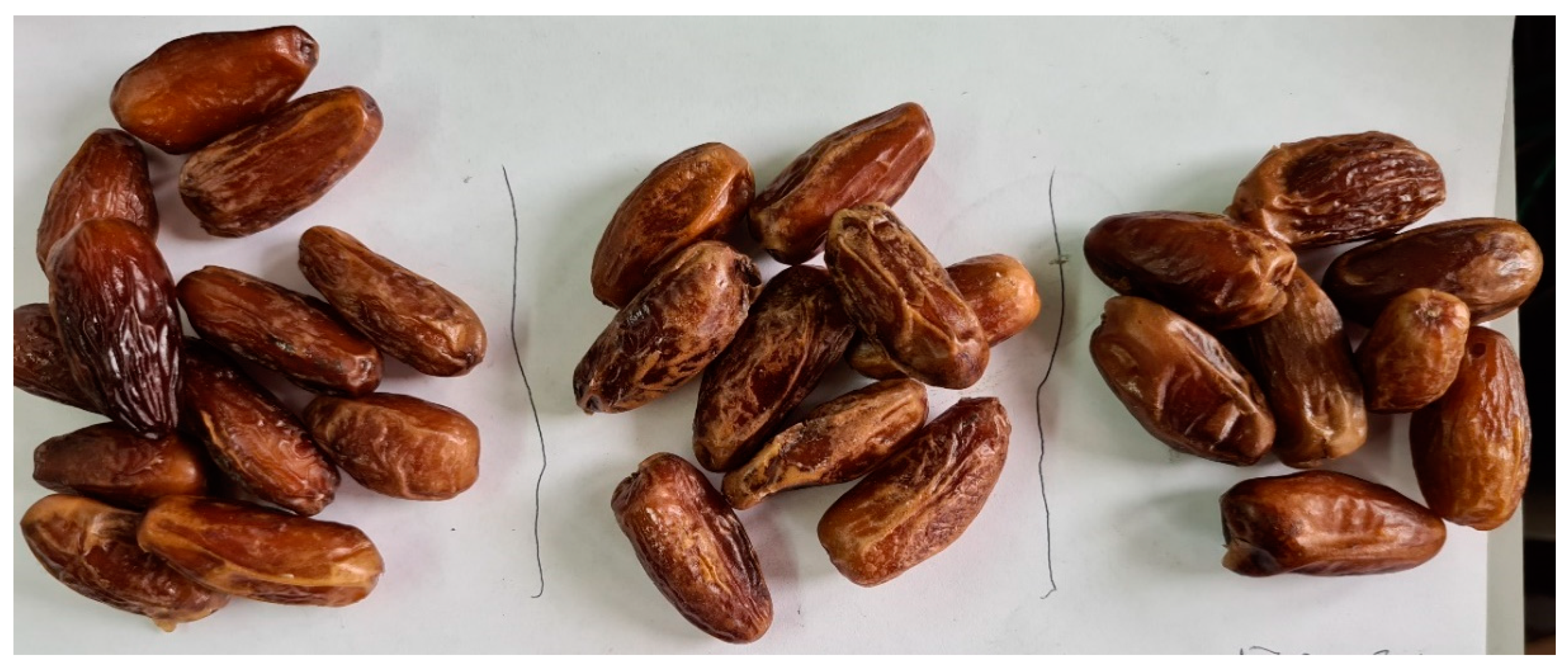 Processes 09 01457 g010