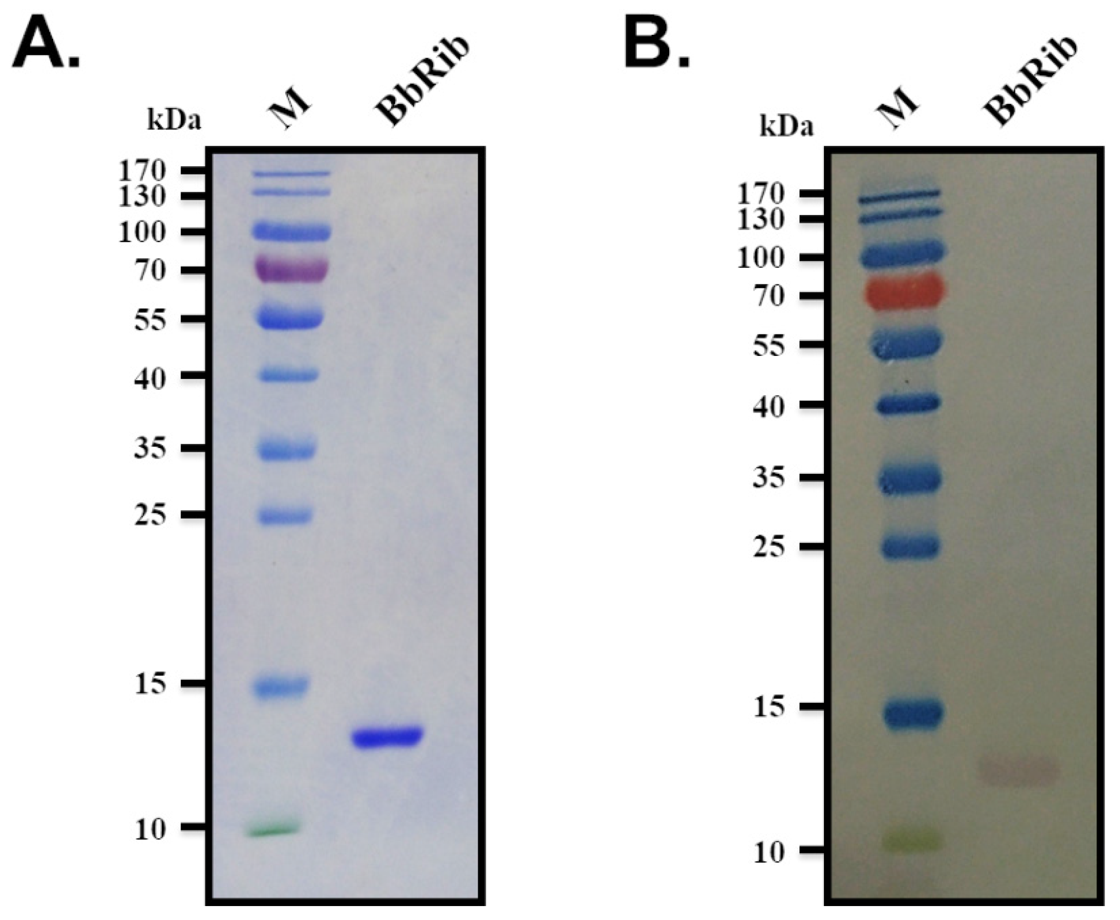 Processes 09 01470 g001 550