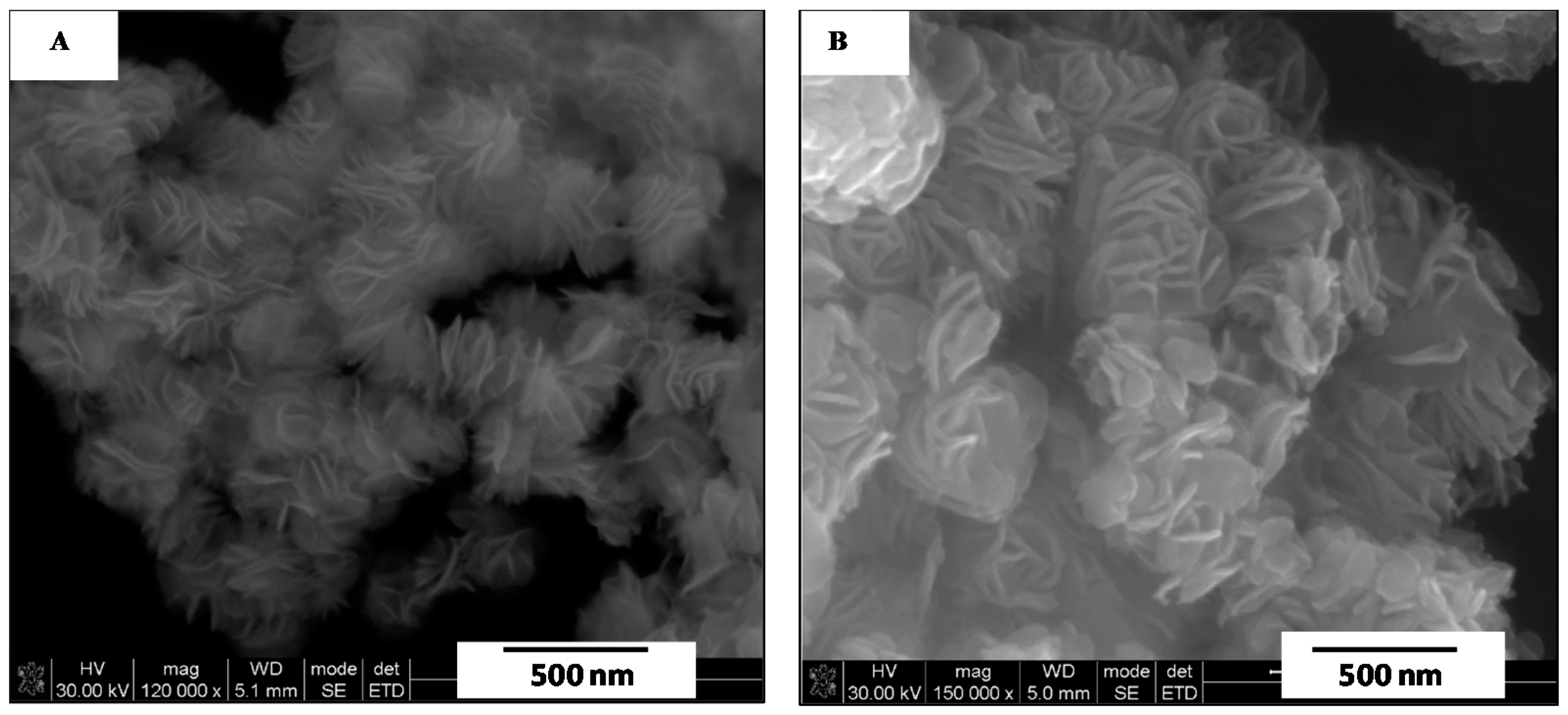 Processes 09 01491 g006 550