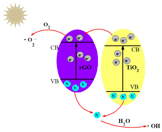 RSM-Based Preparation and Photoelectrocatalytic Performance Study