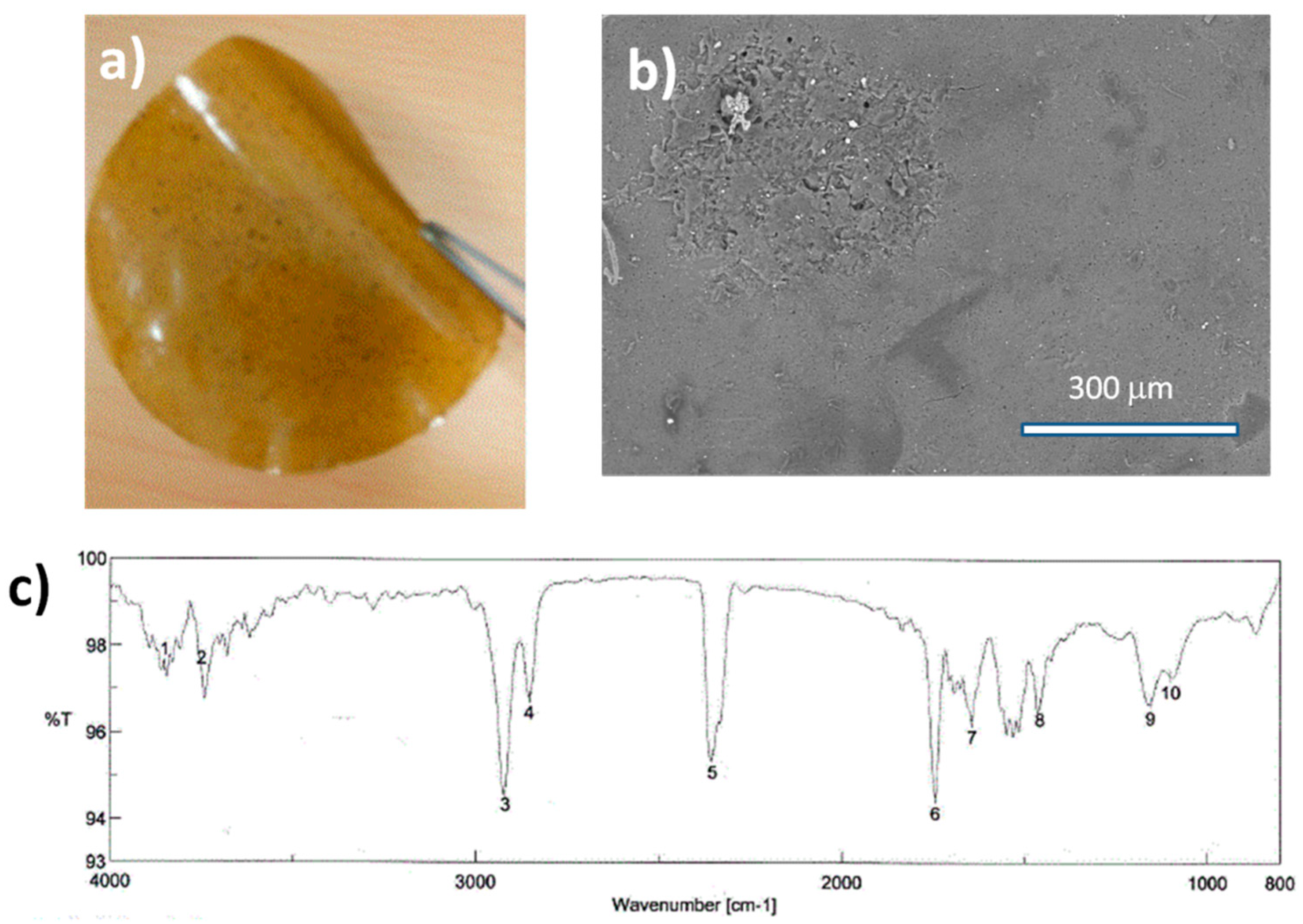 Processes 09 01498 g007 550