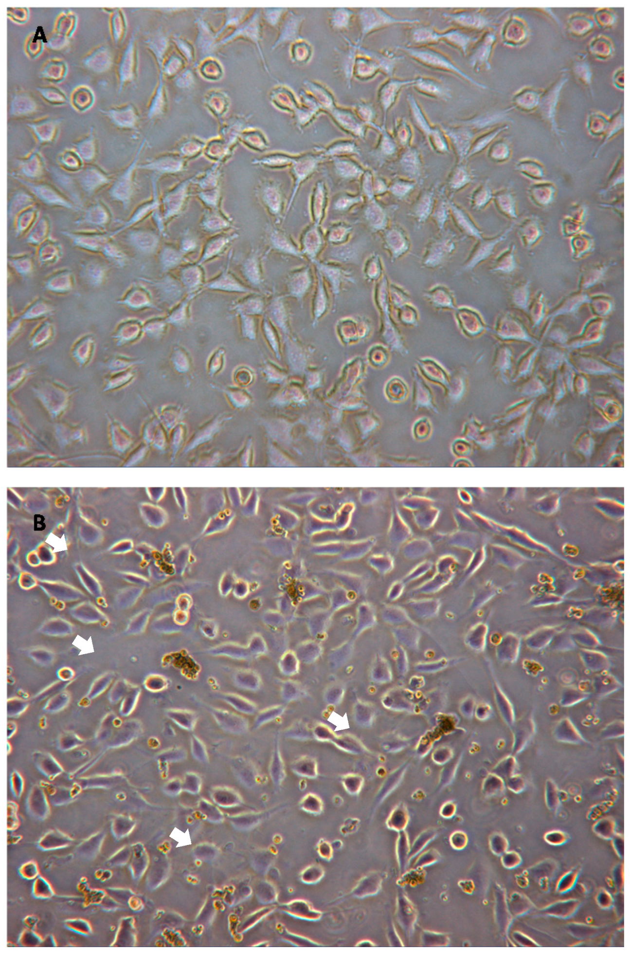 Processes 09 01509 g001