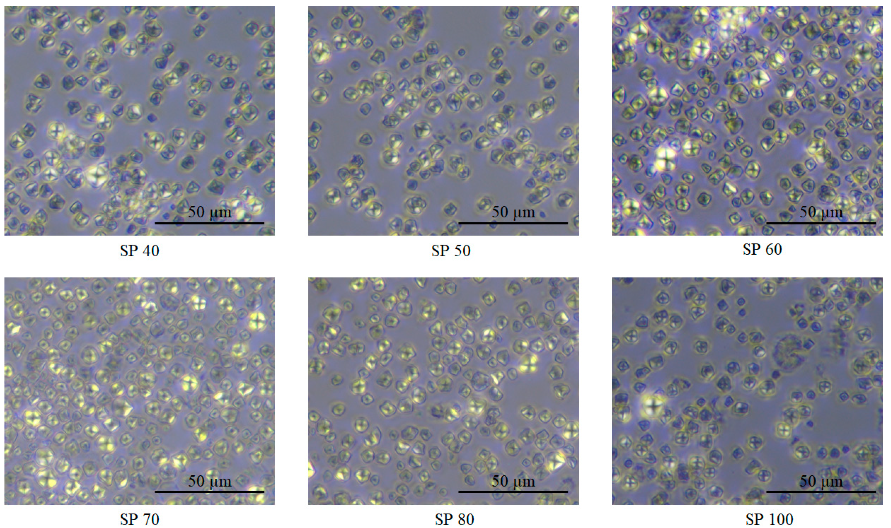 Processes 09 01557 g003 550
