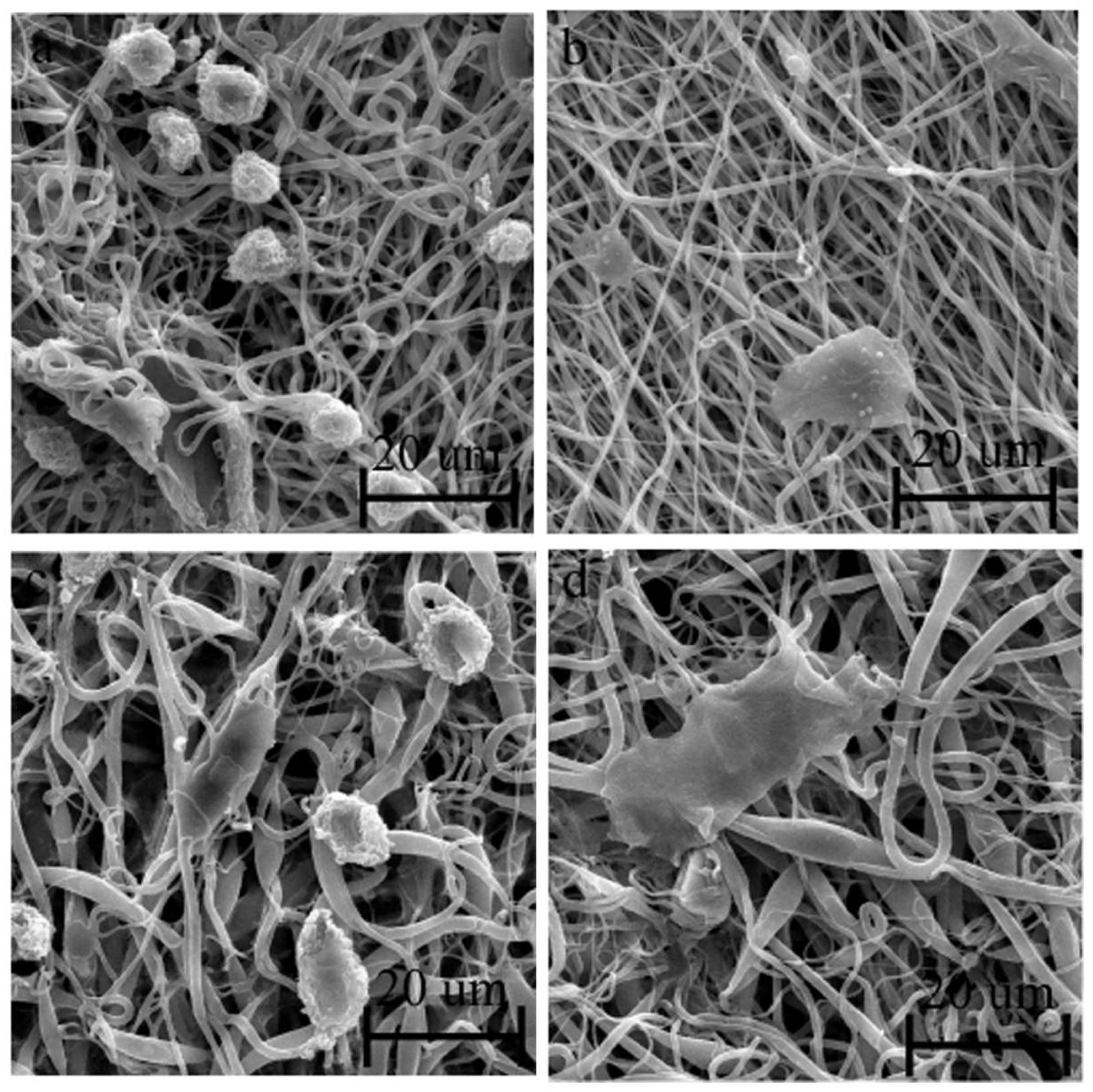 Processes 09 01559 g014