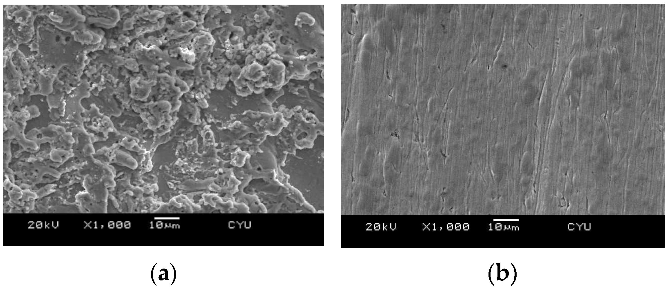 Processes 09 01561 g013
