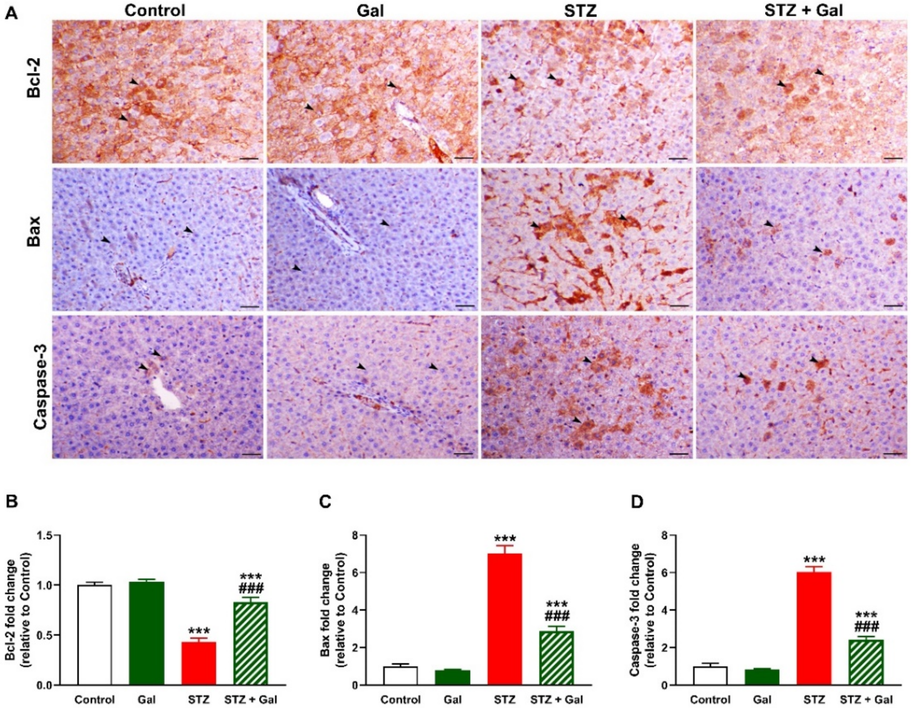 Processes 09 01562 g010