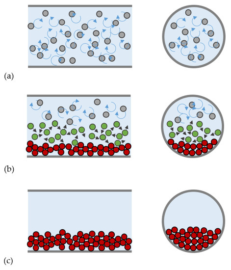 Processes, Free Full-Text