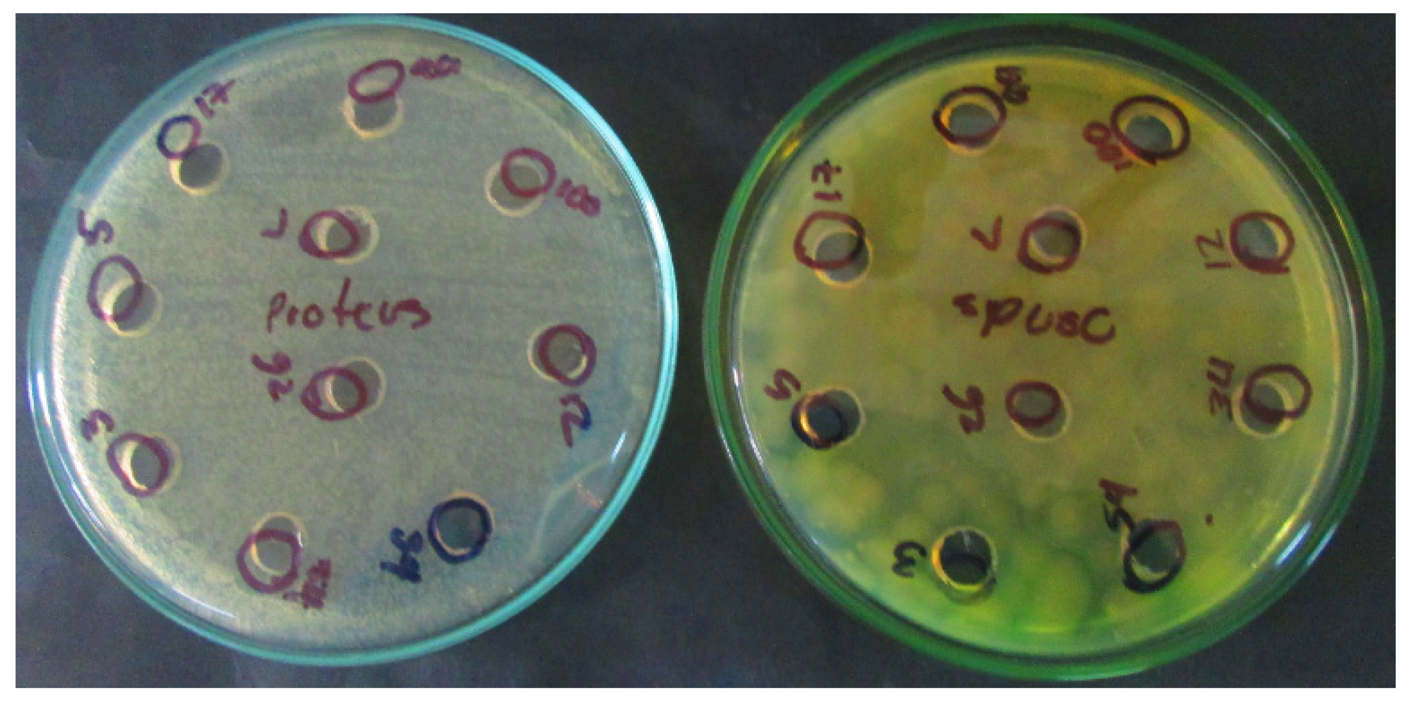 Processes 09 01582 g004