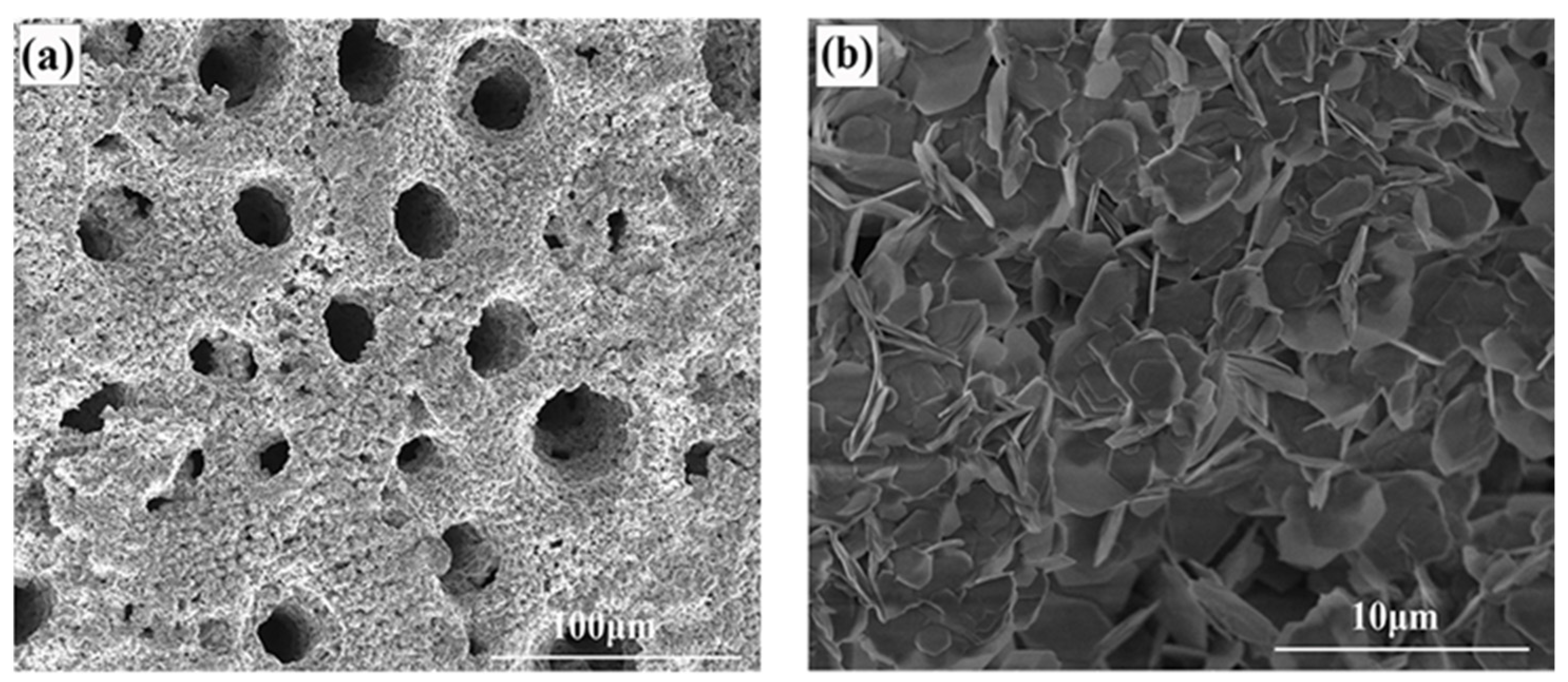 Processes 09 01592 g003