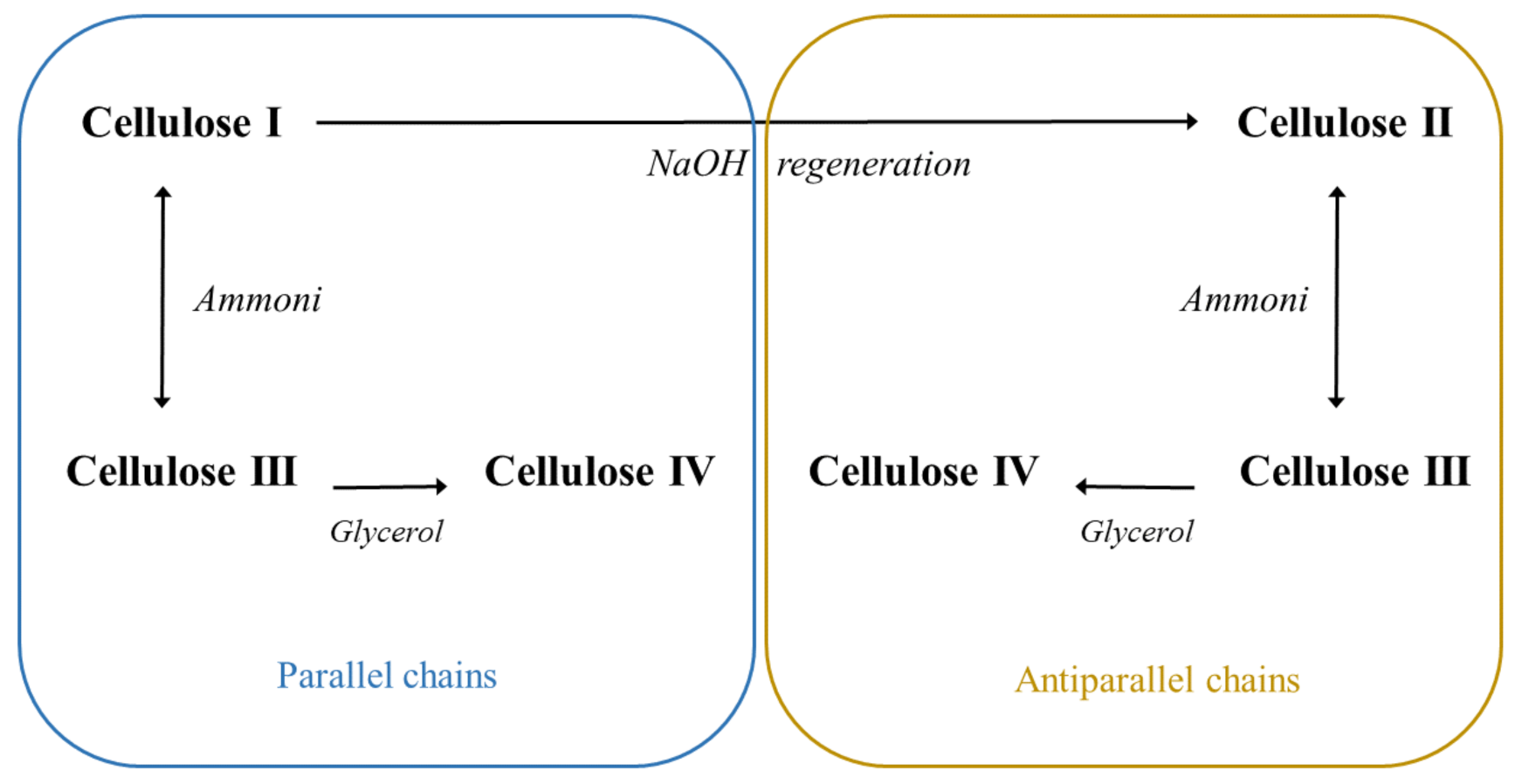 Processes 09 01594 g002