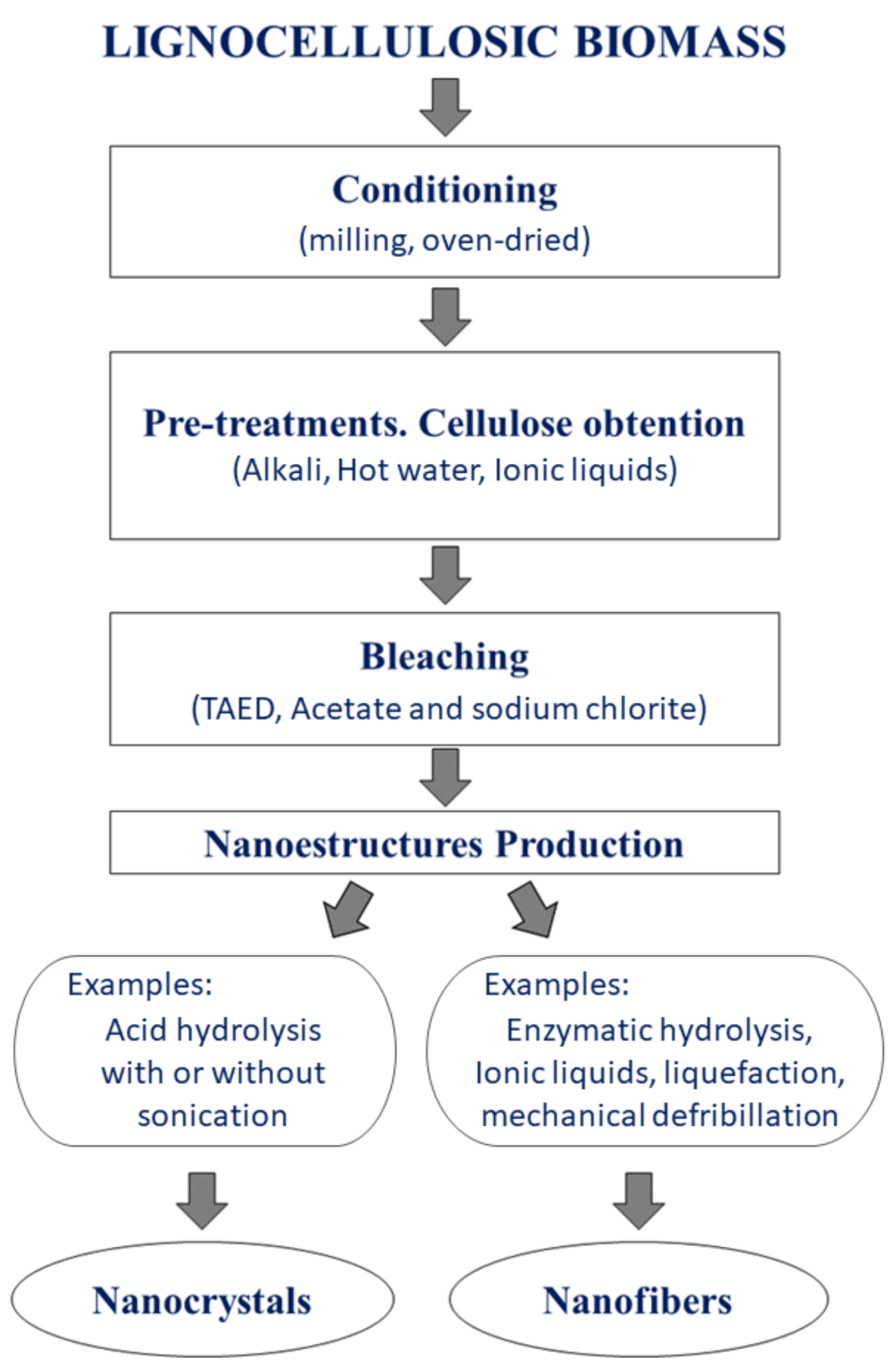 Processes 09 01594 g004