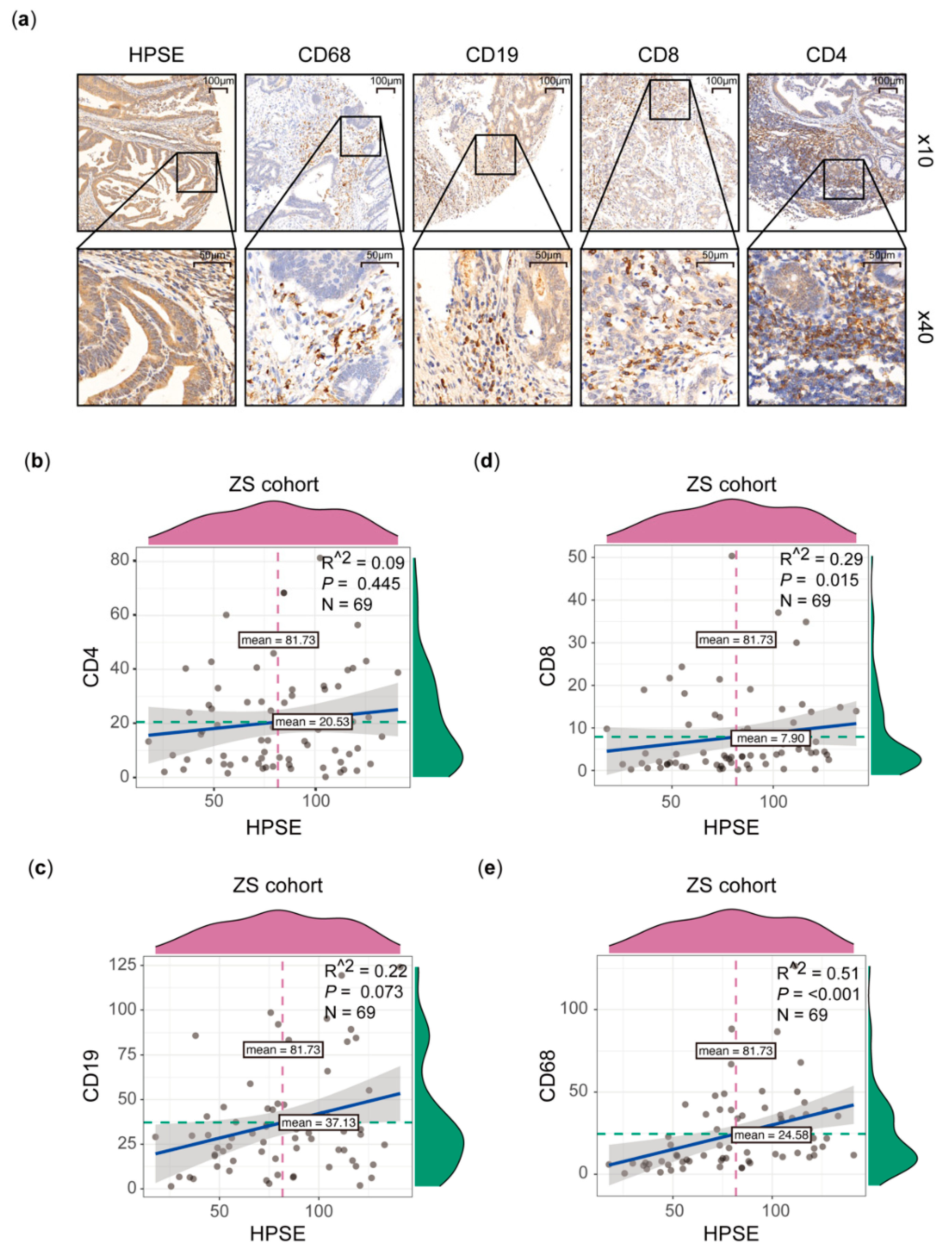 Processes 09 01605 g004