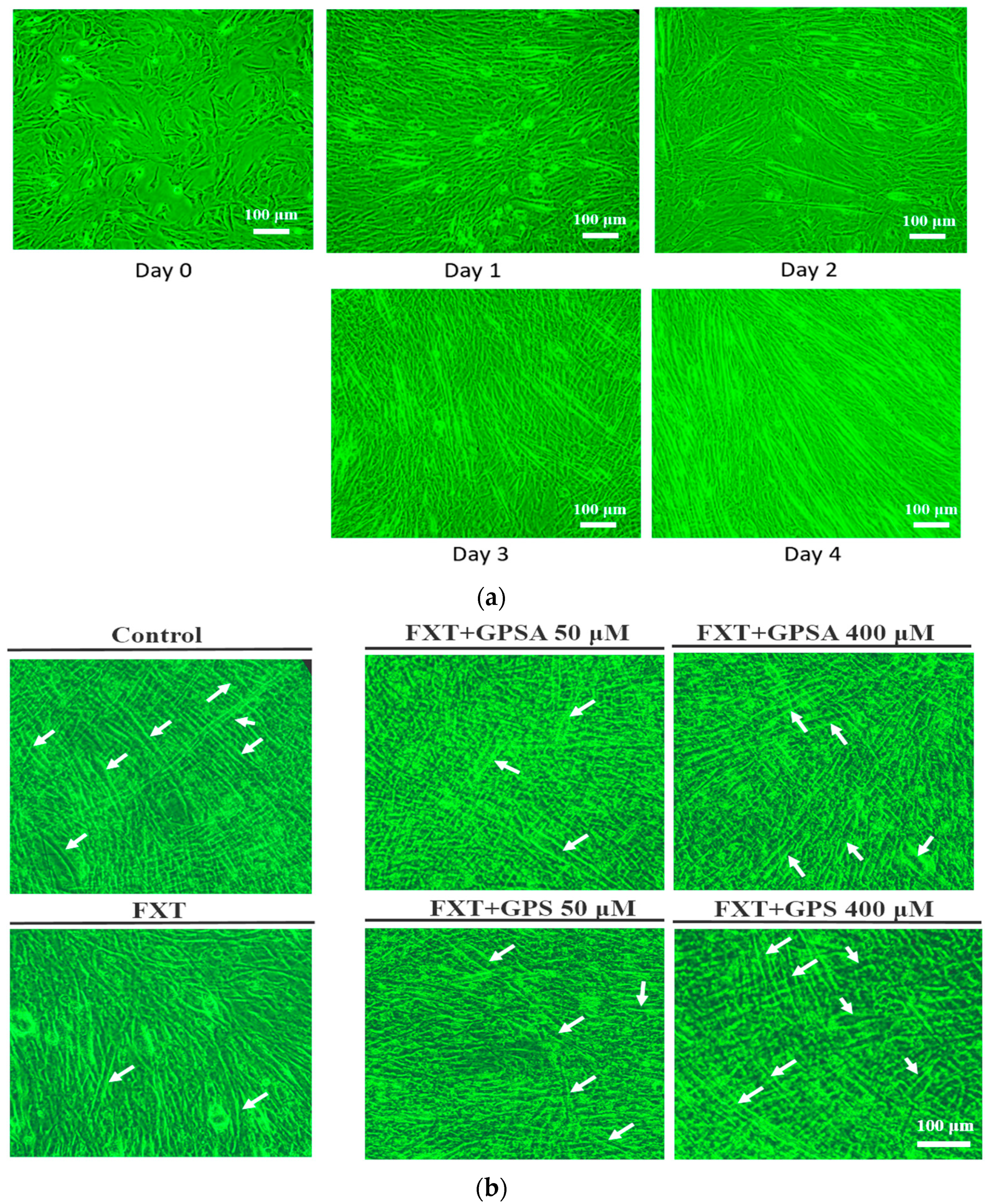 Processes 09 01649 g002