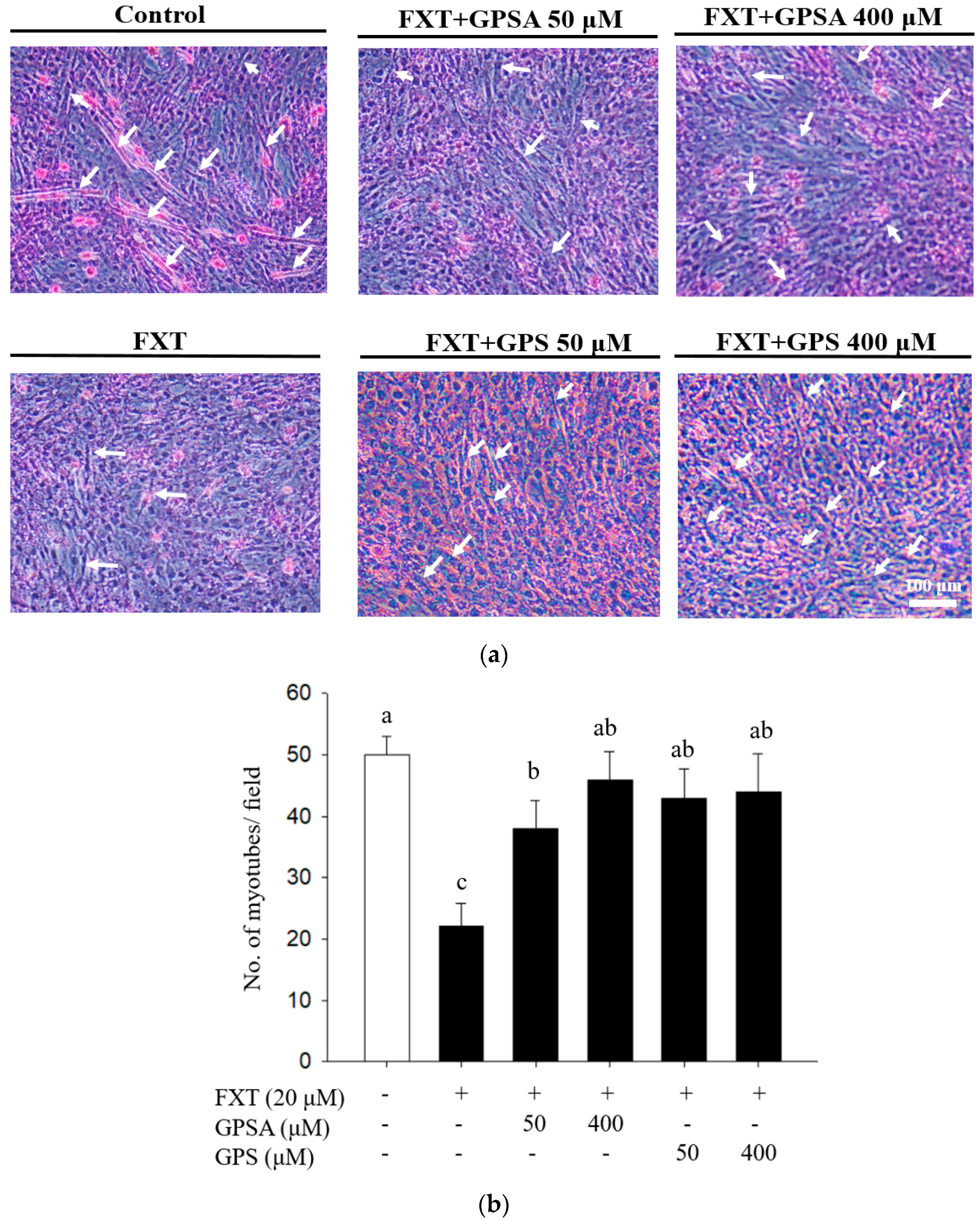 Processes 09 01649 g003