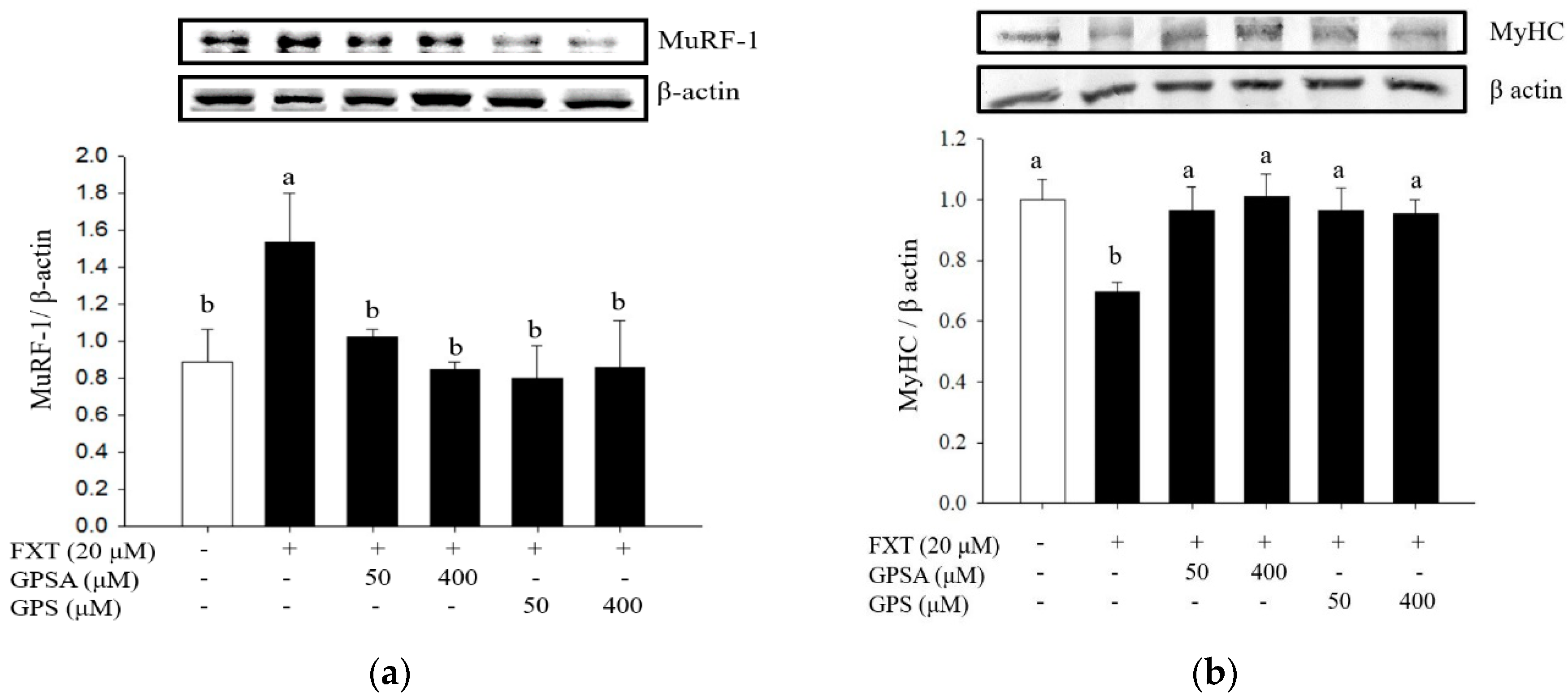 Processes 09 01649 g004a