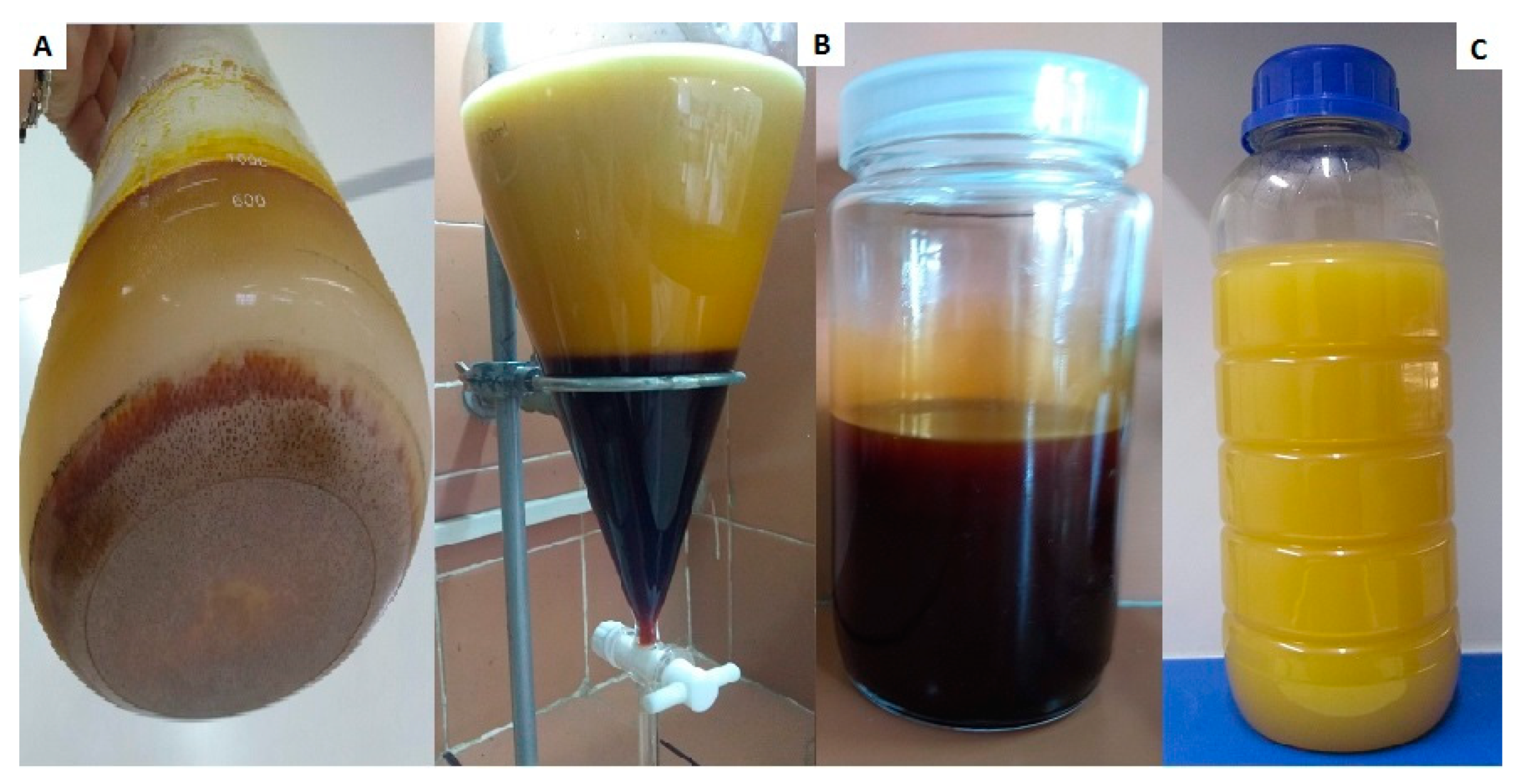 Processes 09 01666 g002