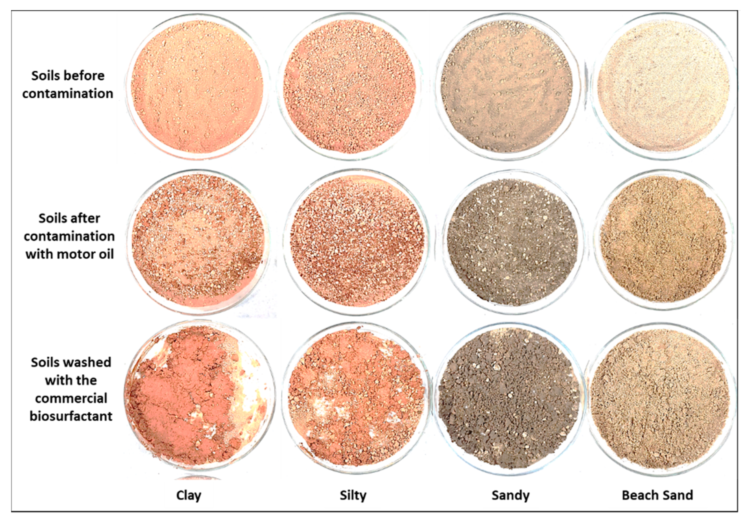 Processes 09 01666 g007