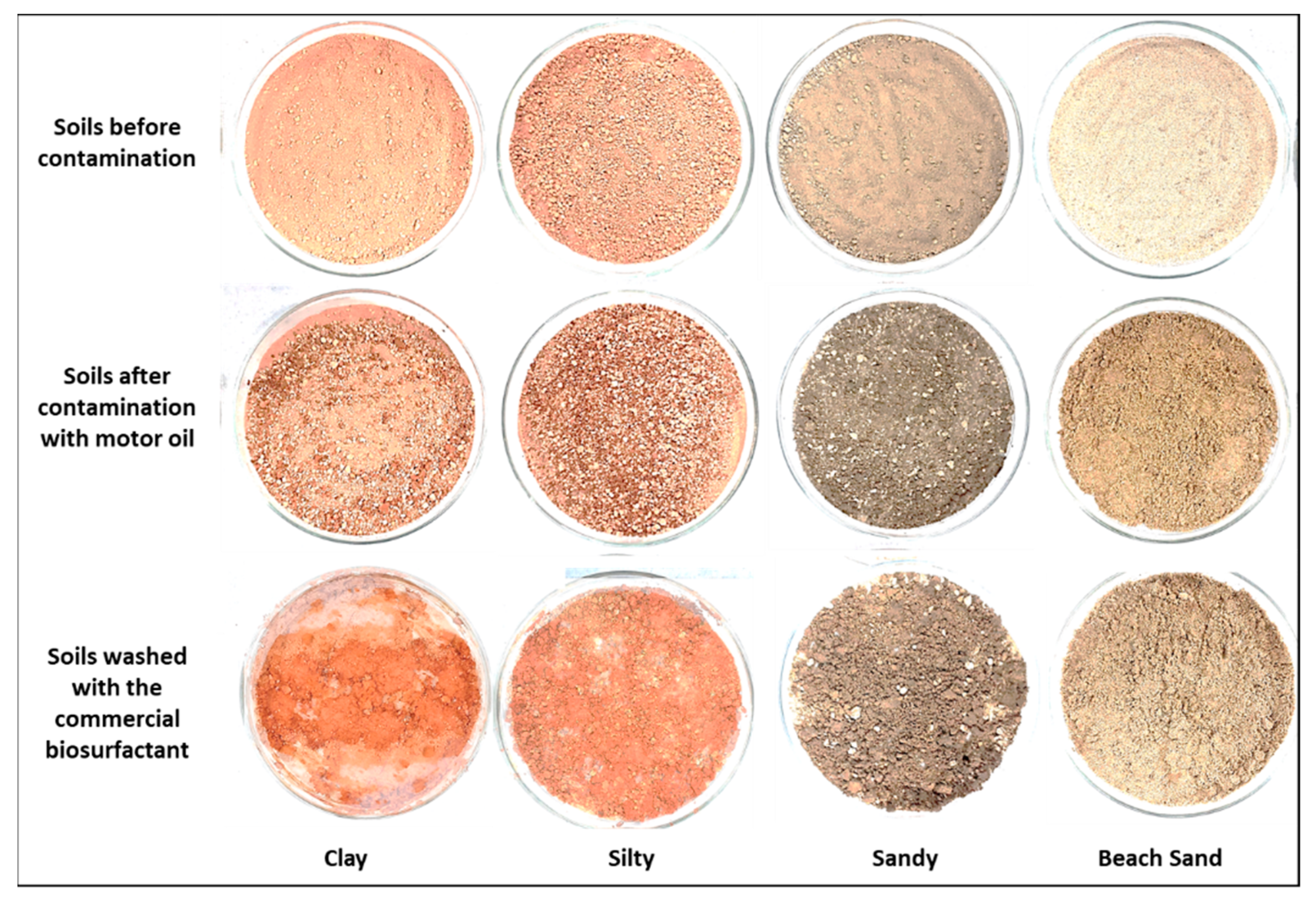 Processes 09 01666 g010