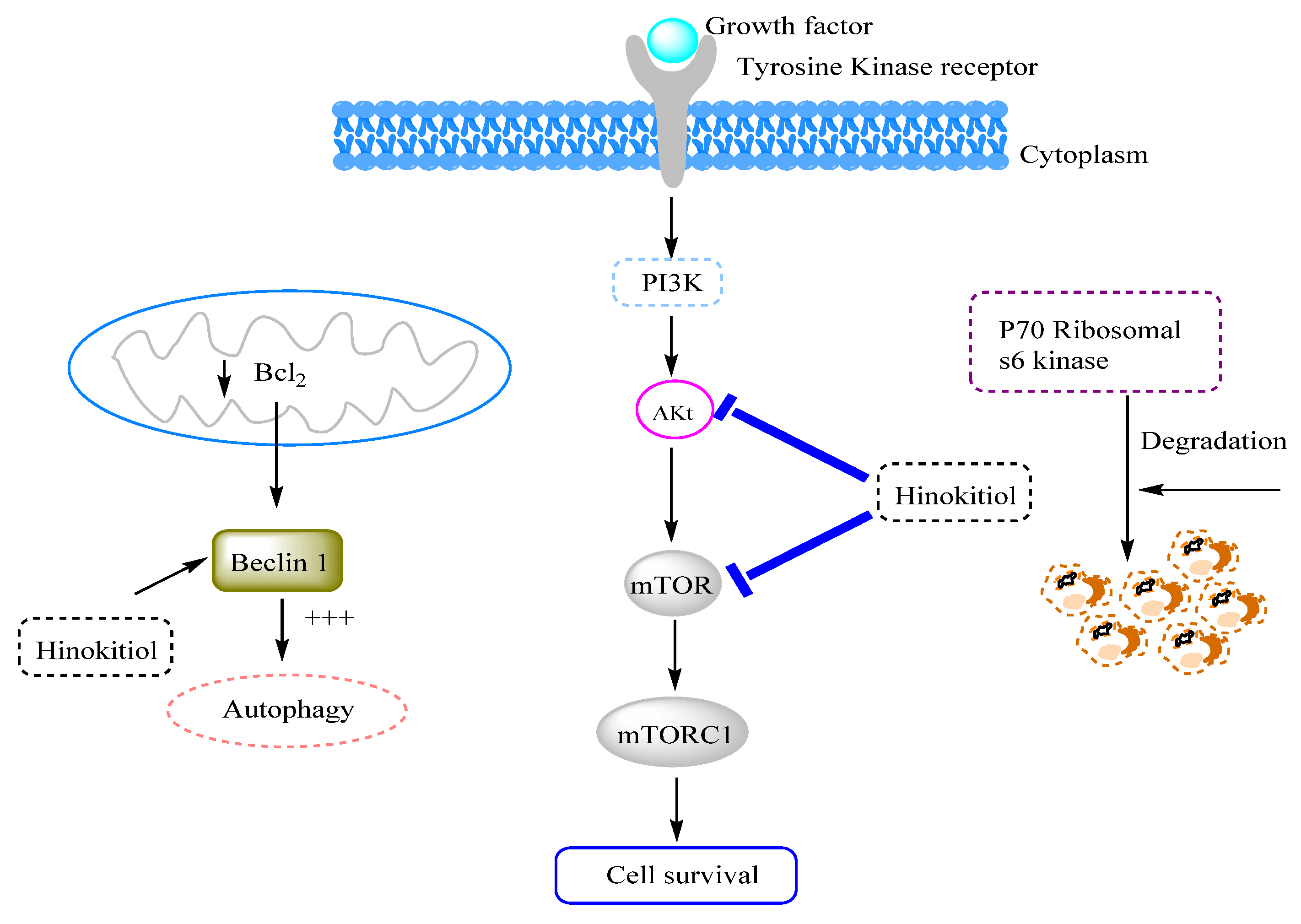 Processes 09 01680 g002 Processes 09 01680 g002