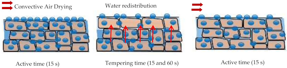 Processes 09 01698 g001 Processes 09 01698 g001