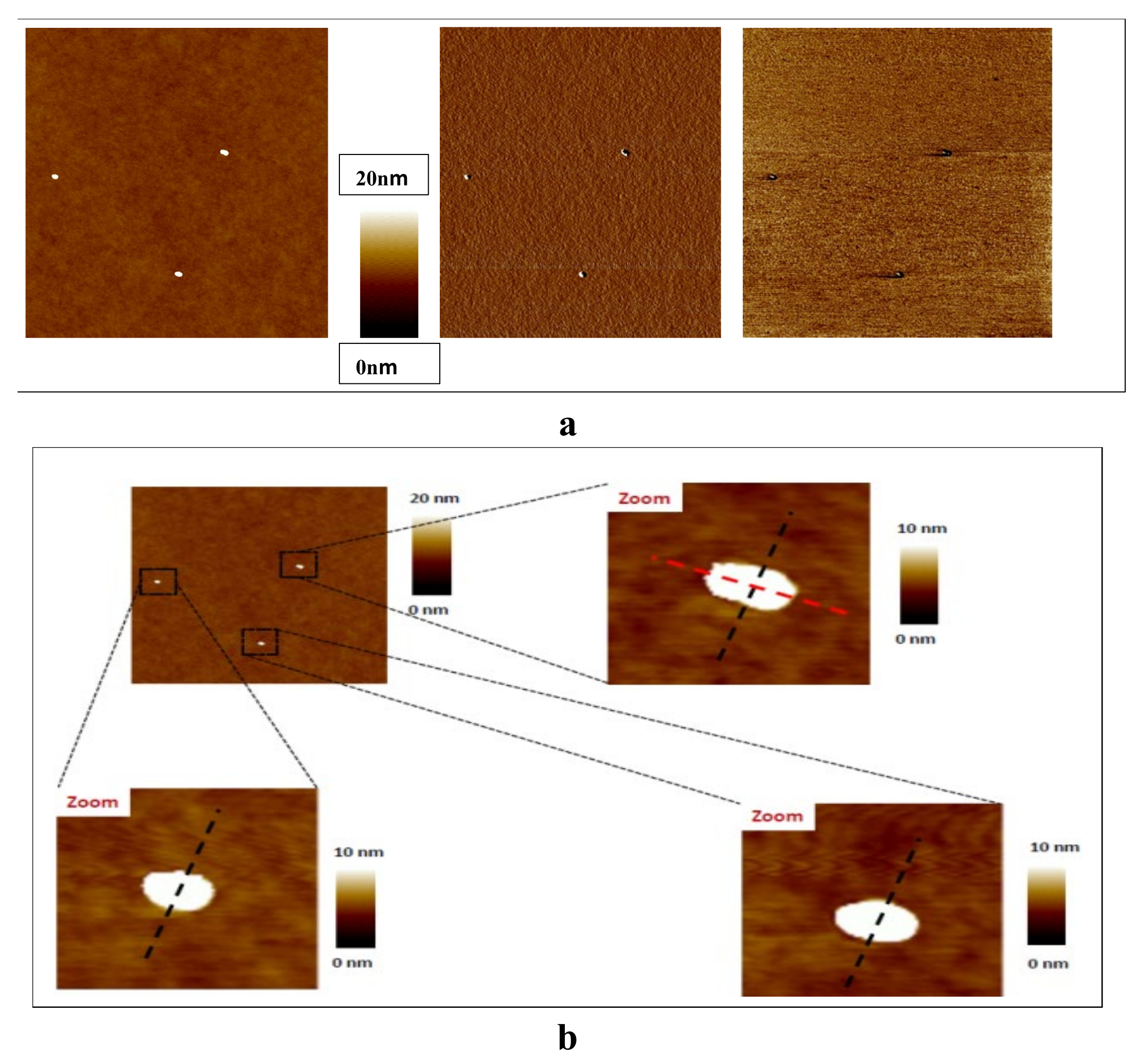 Processes 09 01709 g003 550