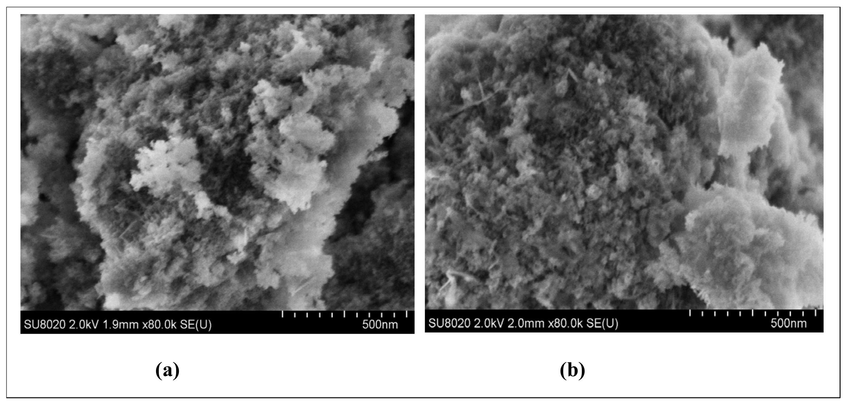 Processes 09 01709 g015 550