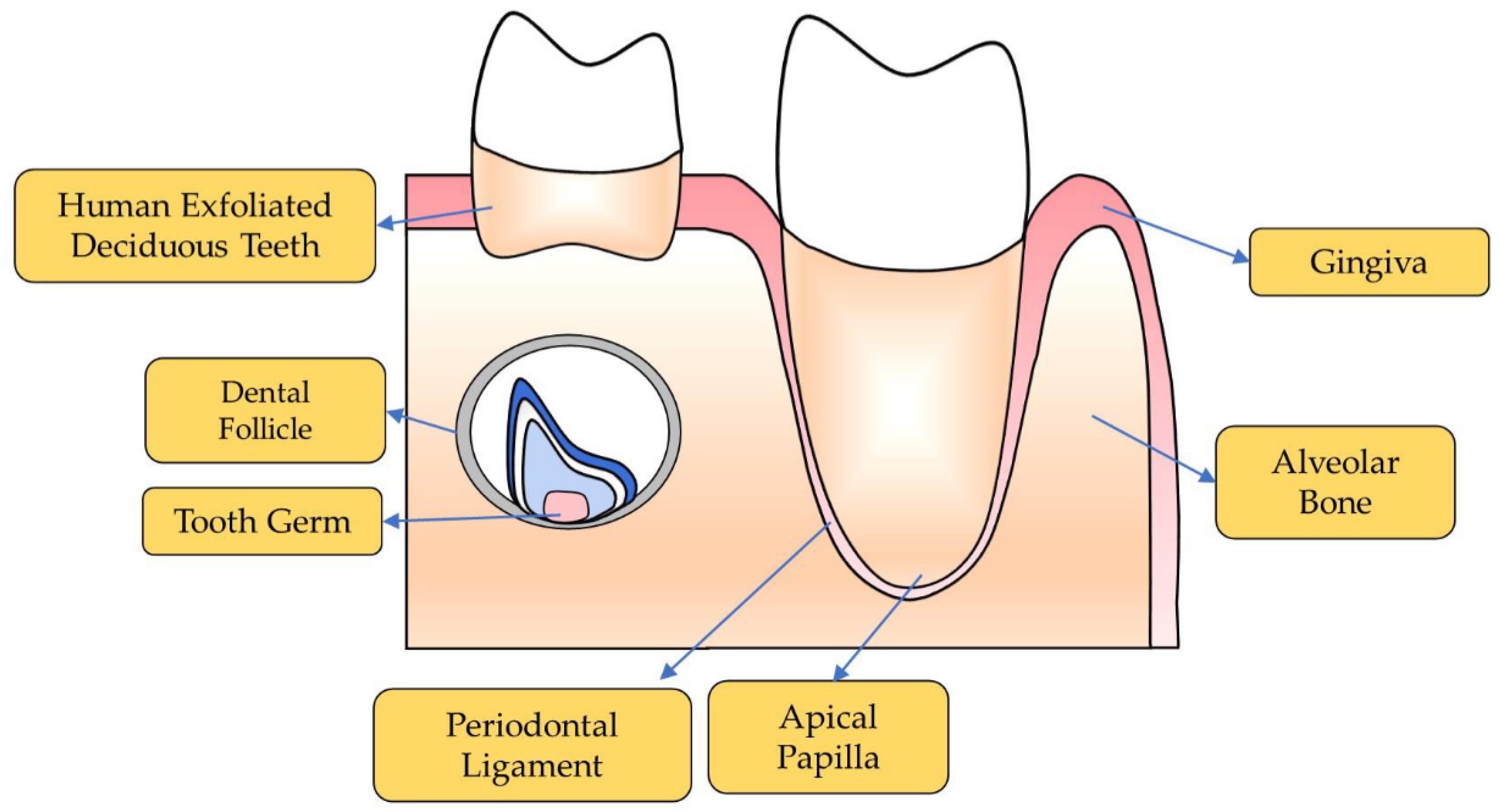 Processes 09 01724 g001 Processes 09 01724 g001