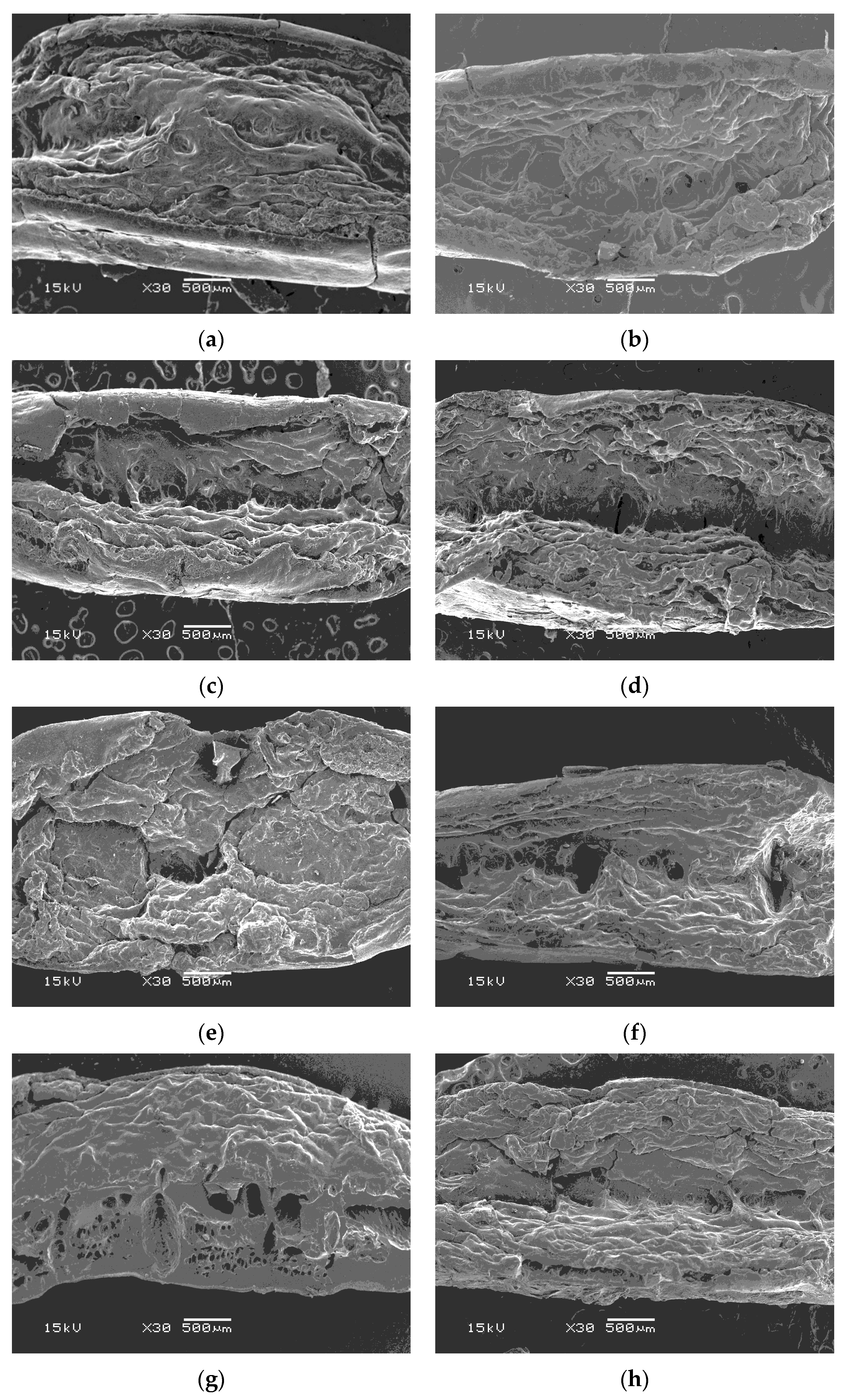 Processes 09 01738 g005a